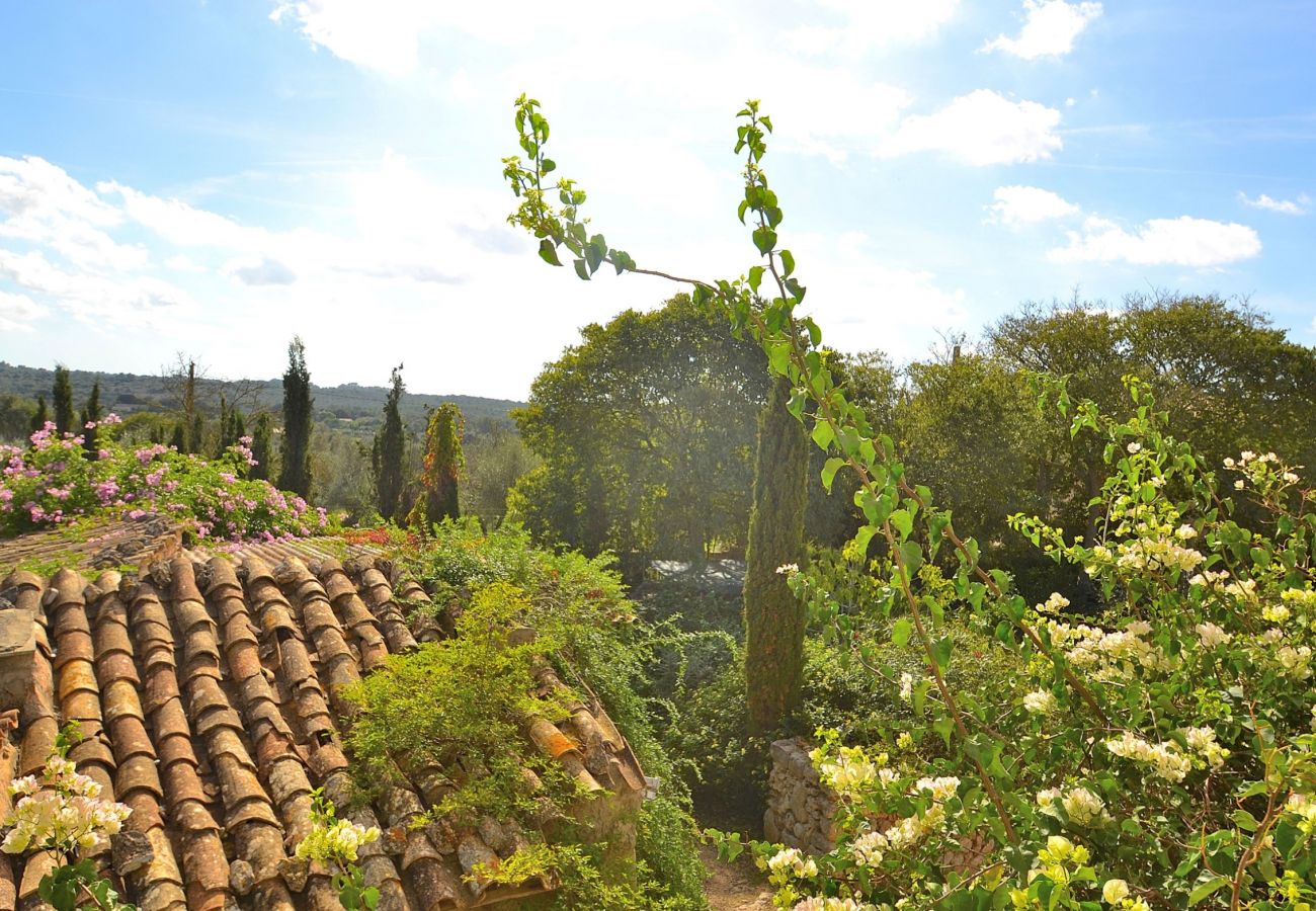 Finca en Llubi - 047 Finca Son Barraquer ETV/5204 by Mallorca Charm