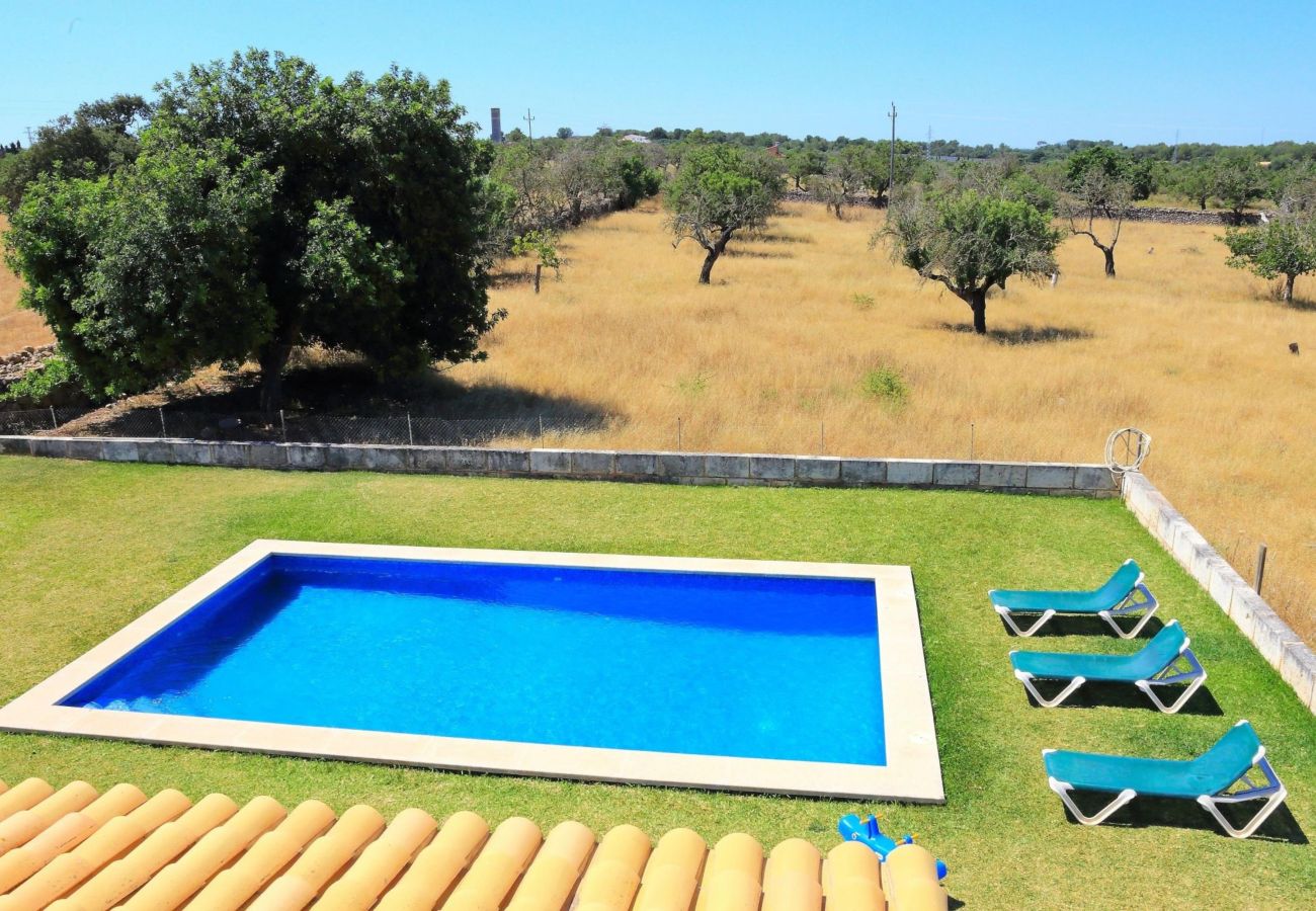 villa, campo, piscina, Can Picafort, jardin