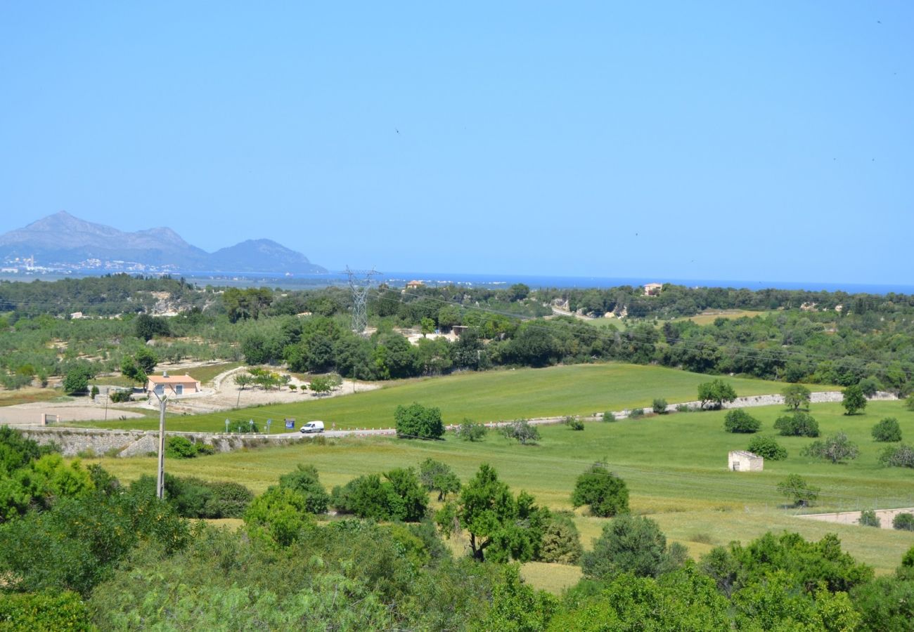 Alquiler de apartamento en Mallorca