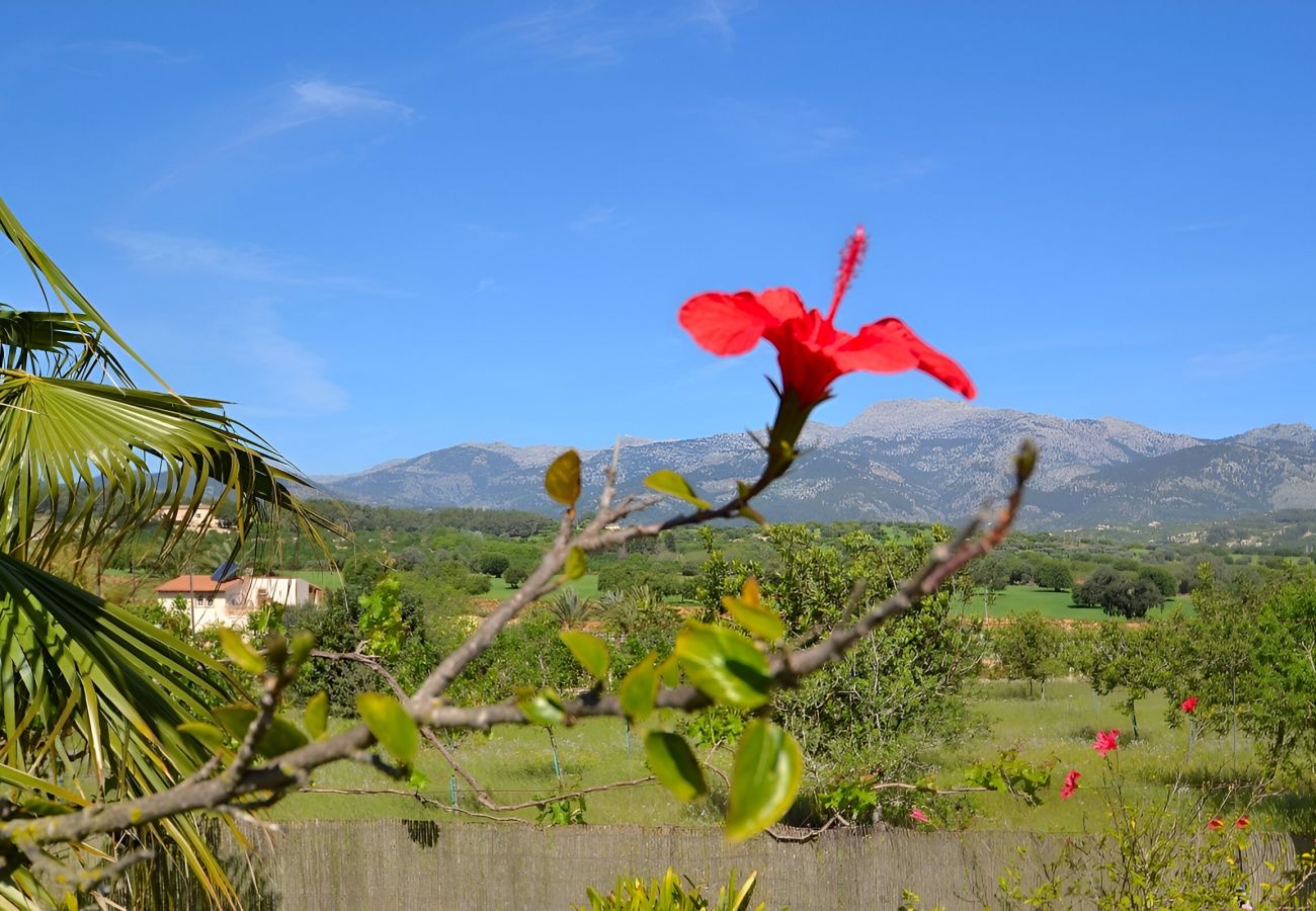 Finca en Inca - 171 Villa Tramuntana 311/2012/VT by Mallorca Charm