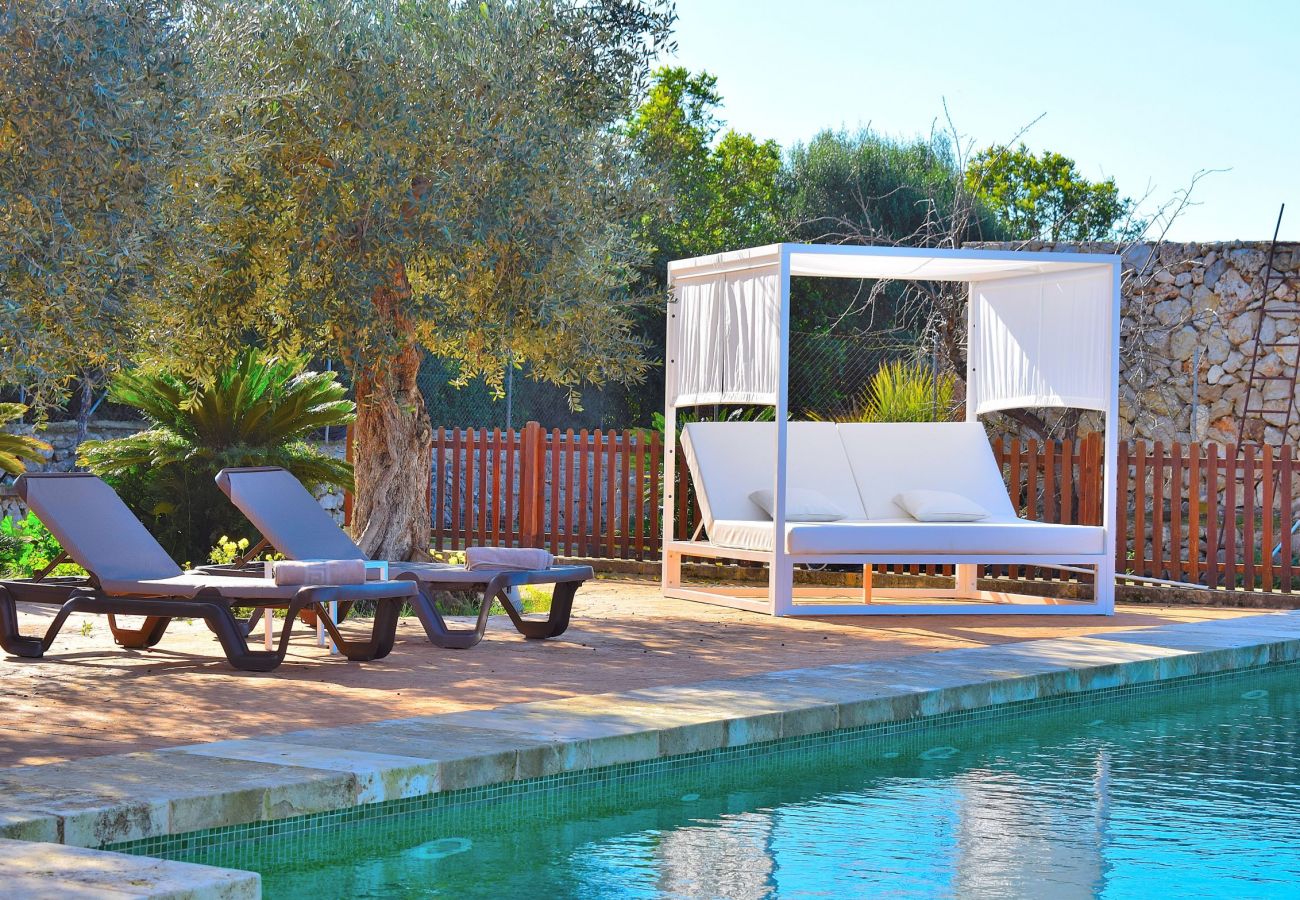 Piscina y solarium de la villa en Sineu