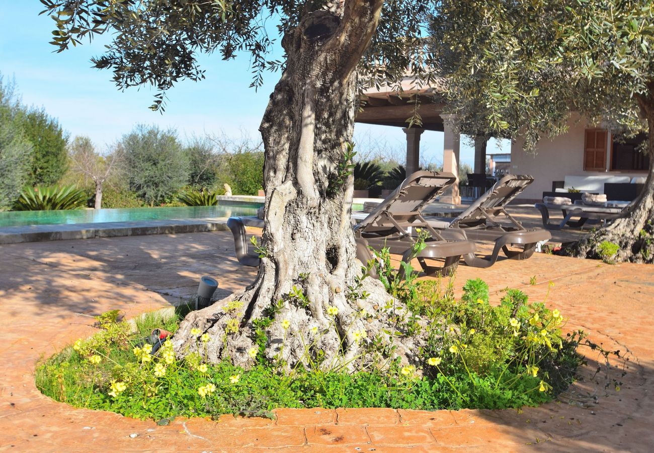 Foto de la piscina y de la villa