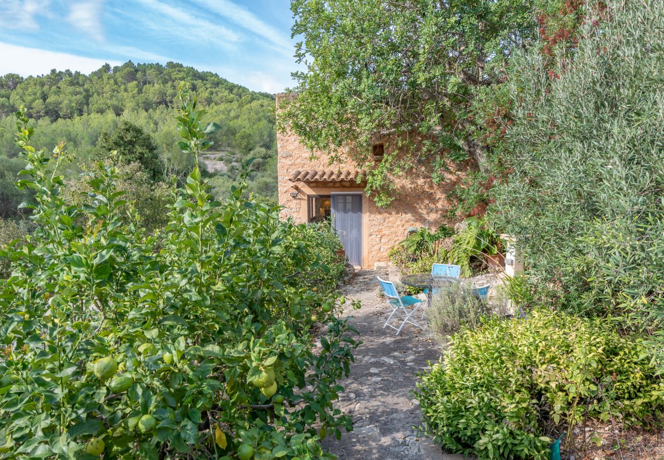 Casa en Son Macià - Finca Sa Font