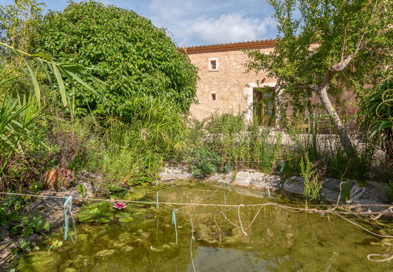 Casa en Son Macià - Finca Sa Font