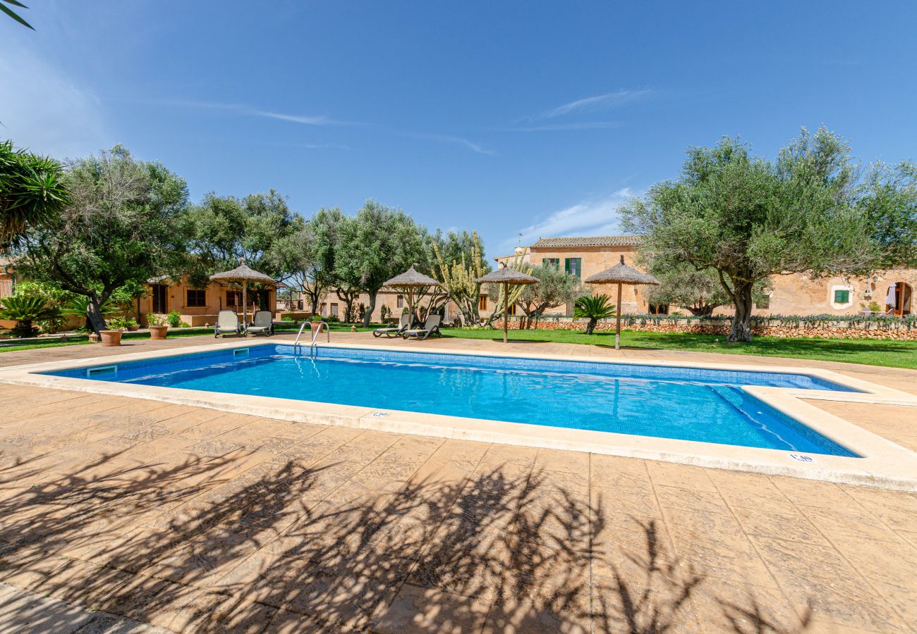 Agroturismo en Campos - YourHouse Son Sala Agroturisme Es More - doble