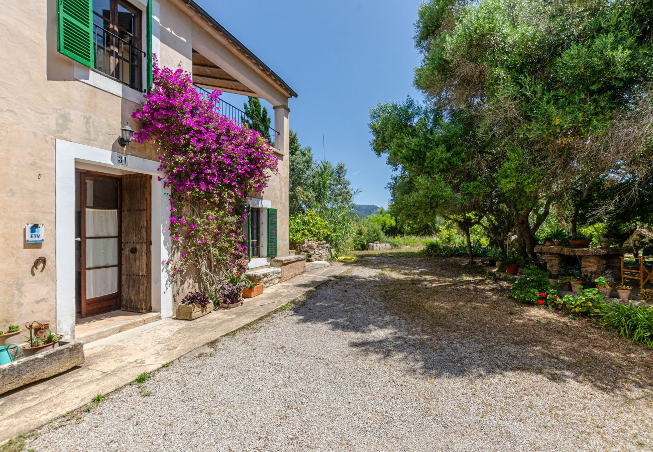 Villa en Felanitx - Finca Es Galliner