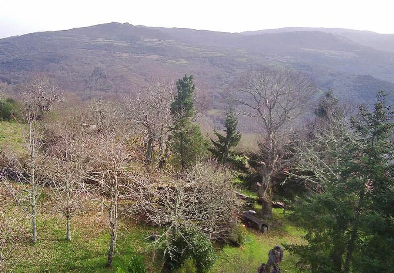 Casa rural en Ourense - YourHouse A Casa Dos Cregos