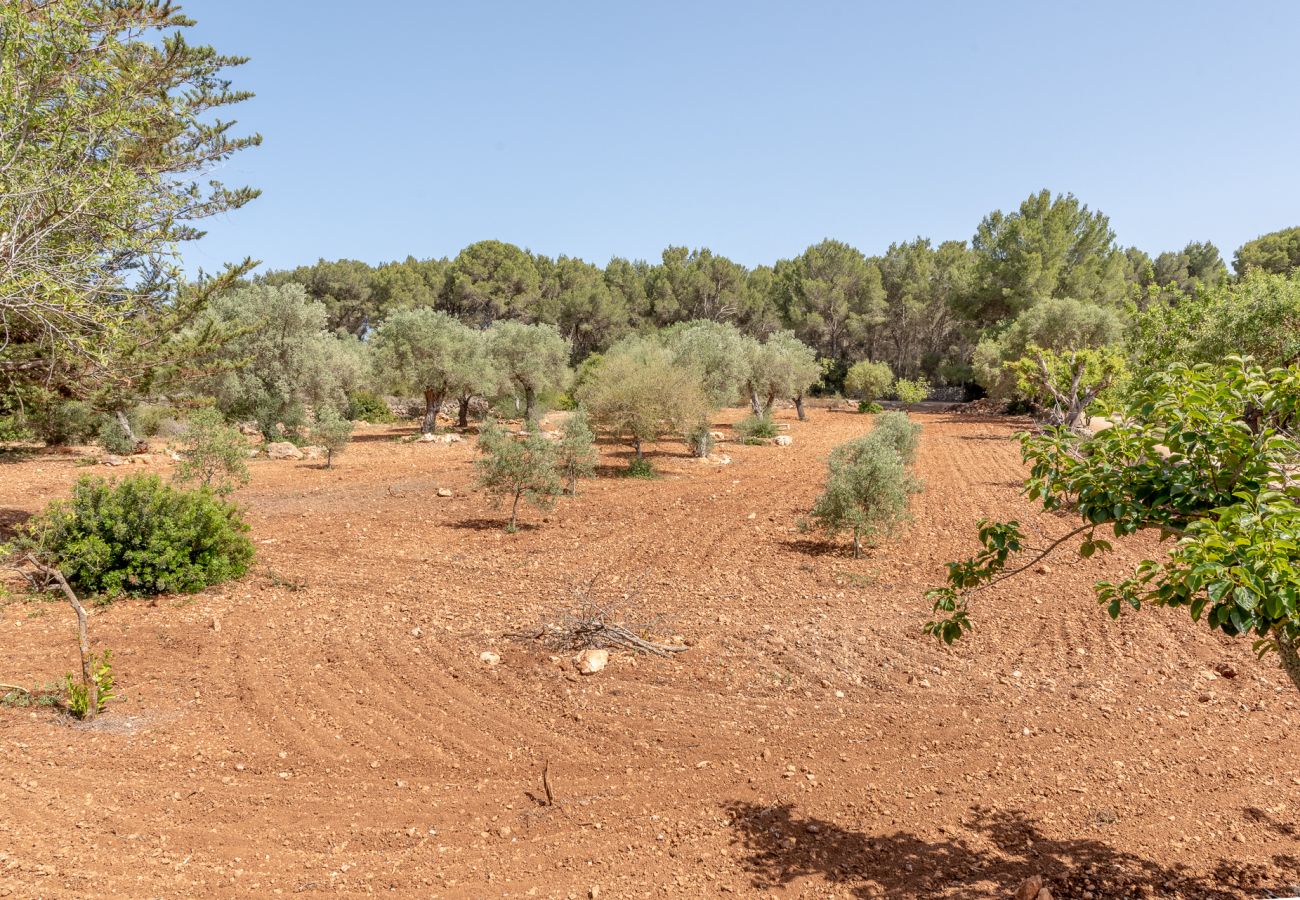 Casa en Cala Murada - Finca Aigo by Mallorca House Rent