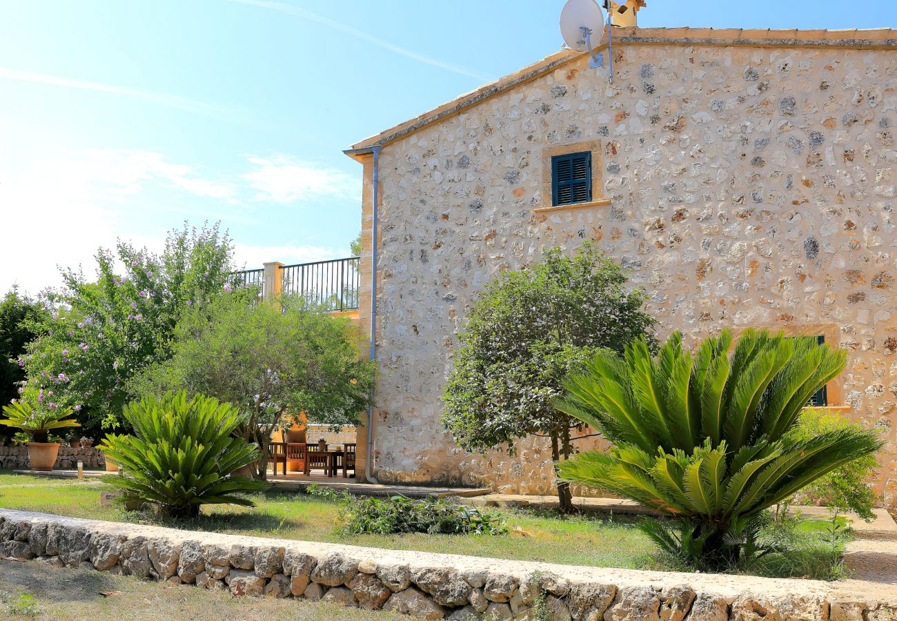 Ländliches Haus, Raum, Garten, schön, Mallorca