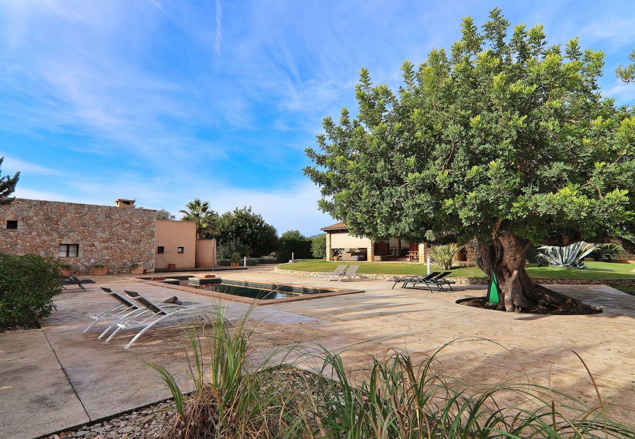 Finca in Binissalem - 151 Villa Es Triquet ET/3366 by Mallorca Charme