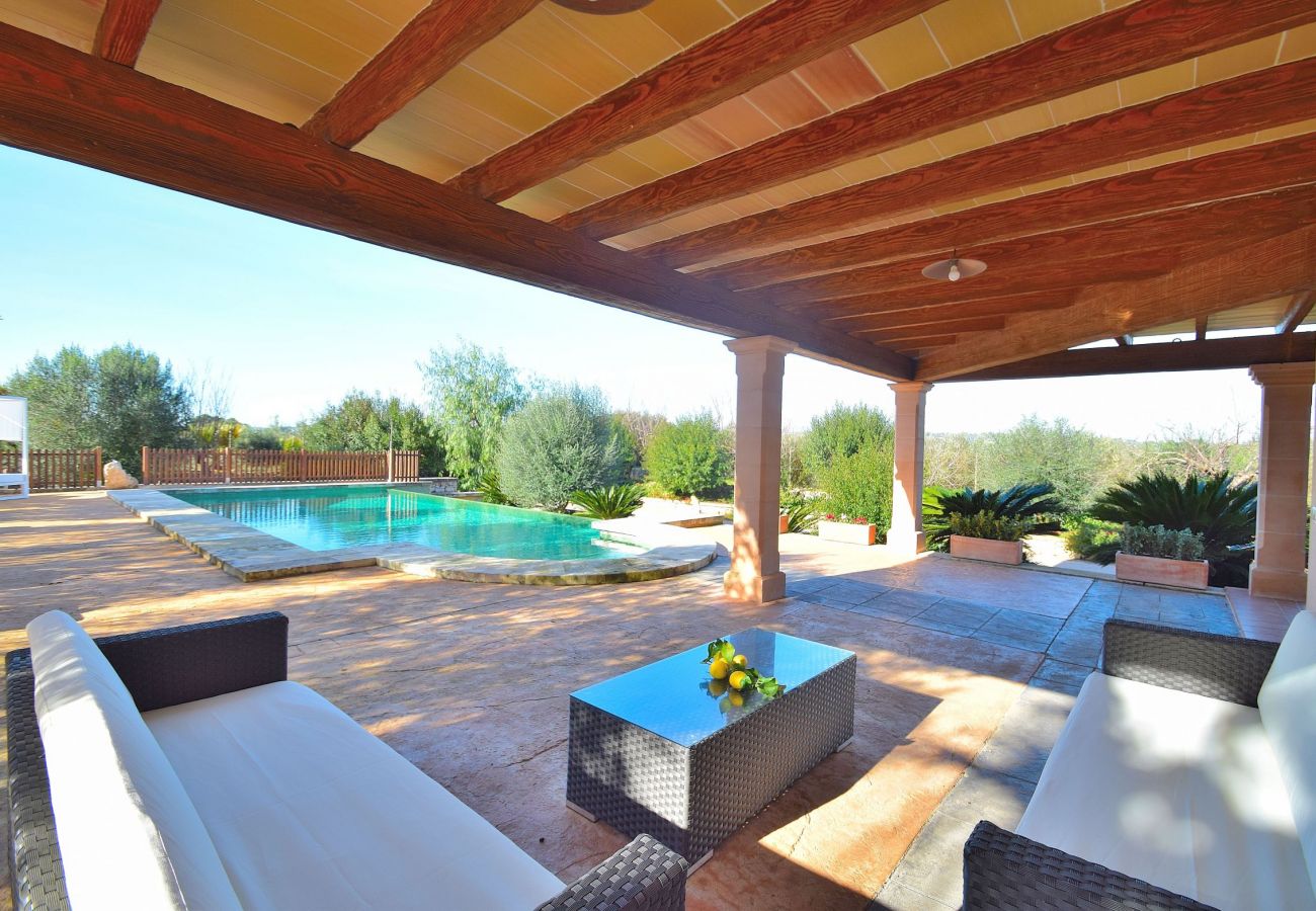 Blick auf die Terrasse und den Pool der Finca in Sineu