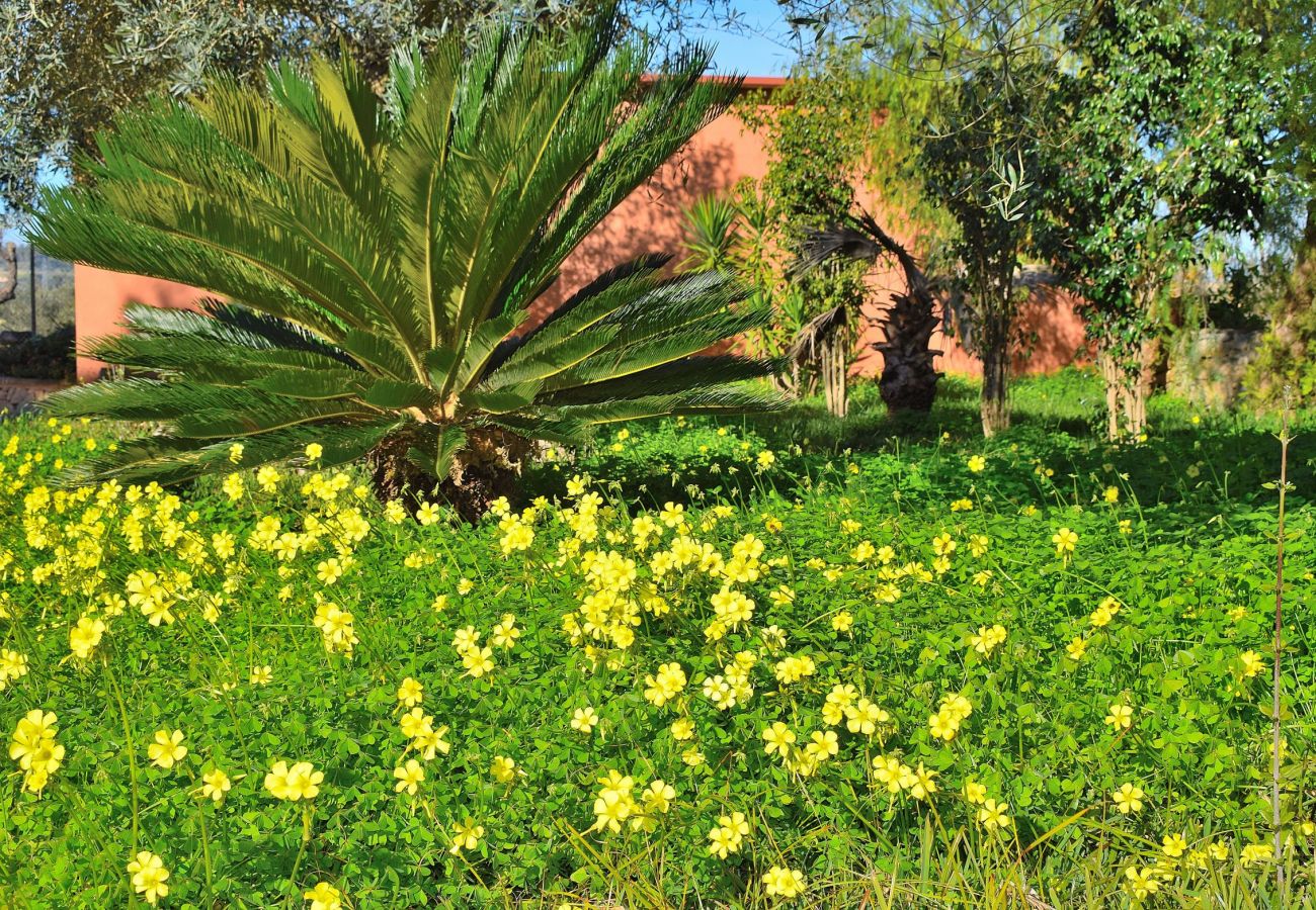 Foto des Gartens der Villa in der Muro