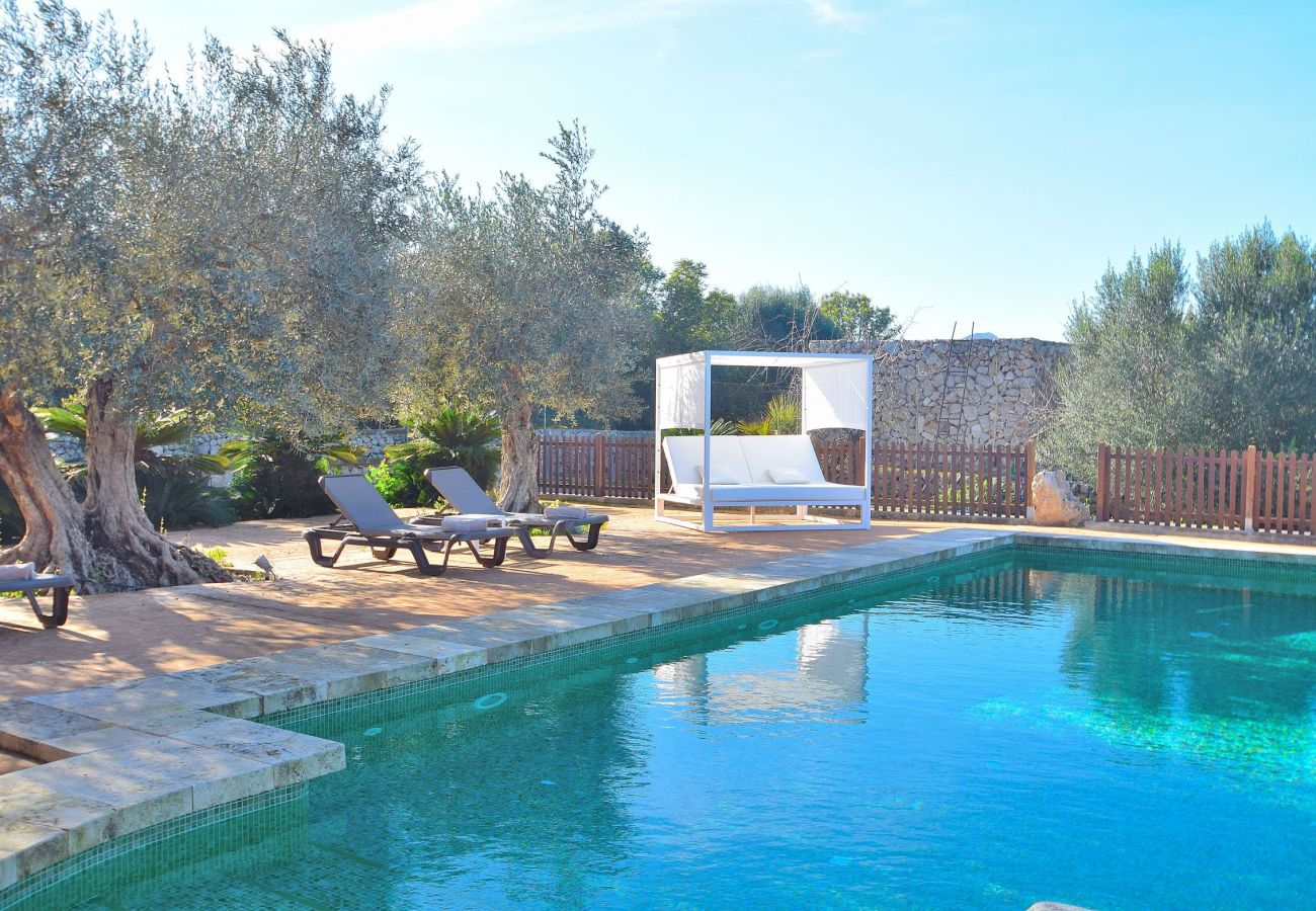 Bild des Swimmingpools der Villa in Sineu