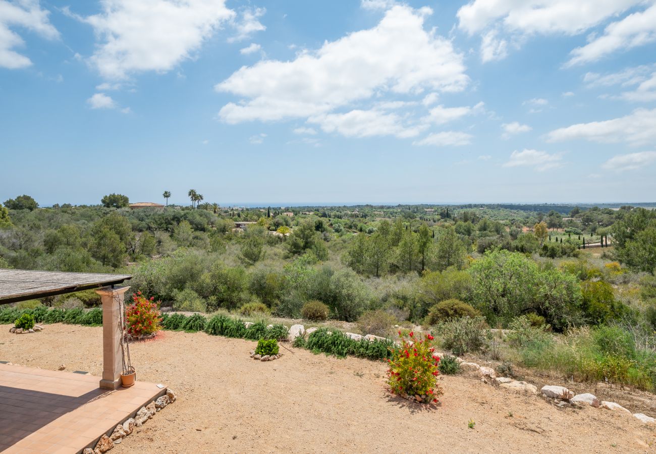 Villa in Manacor - Finca Sa Pleta