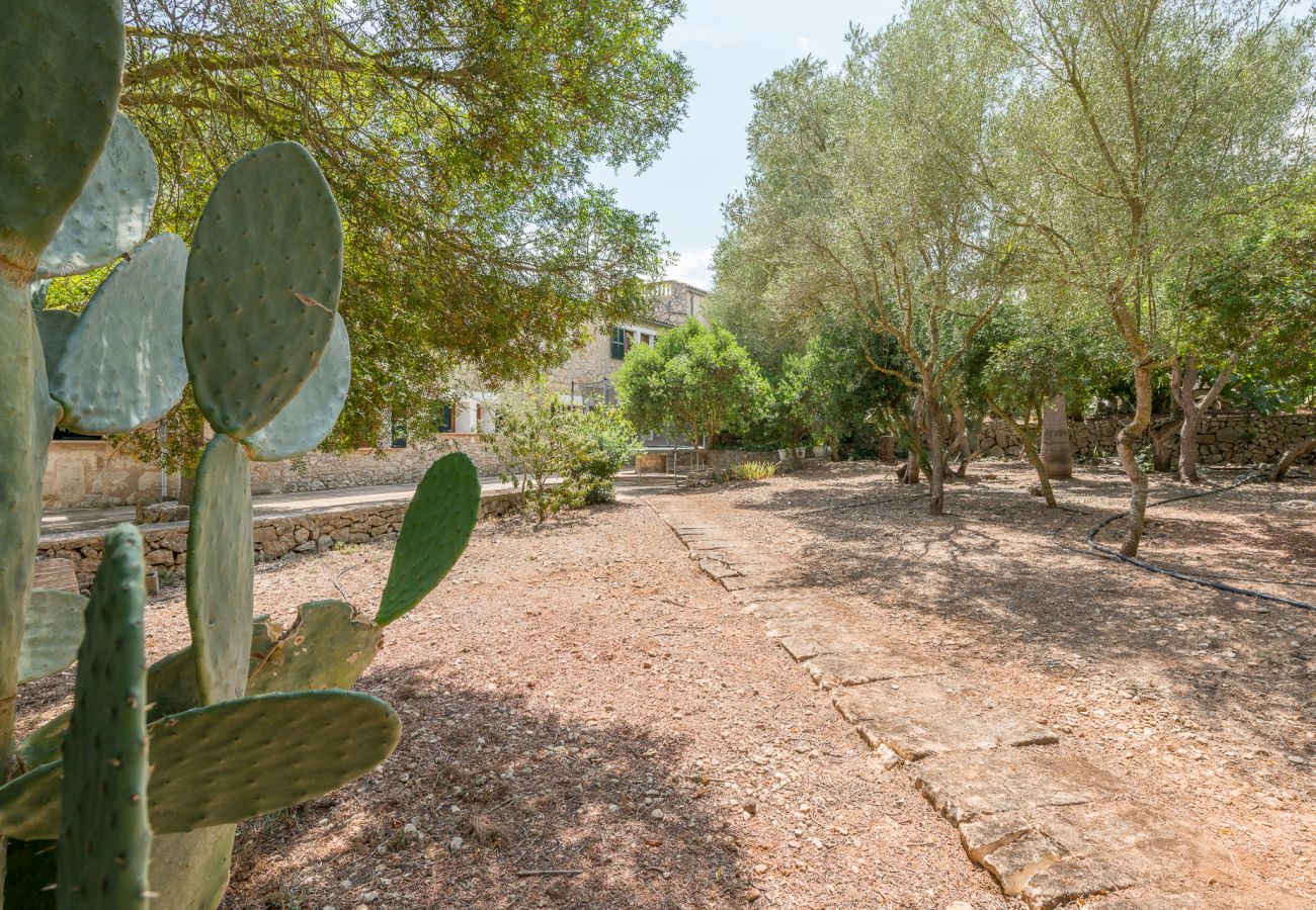 Villa in Manacor - Finca Es Rafalot de Dalt