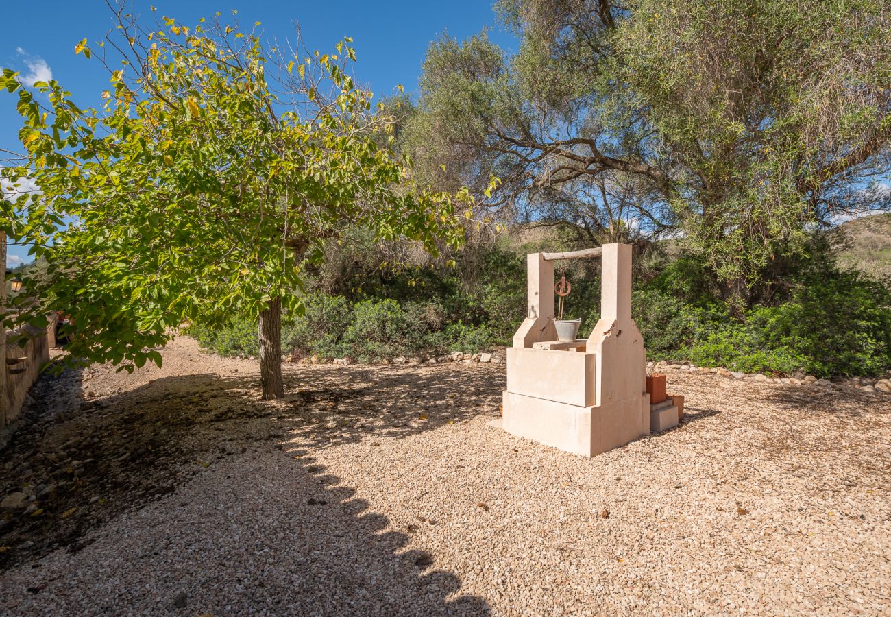 Landhaus in Manacor - Finca Cas Pastor (Cala Varques)