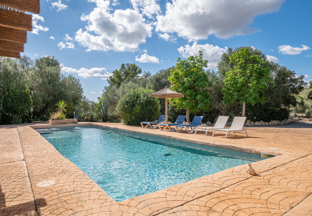 Landhaus in Manacor - Finca Cas Pastor (Cala Varques)