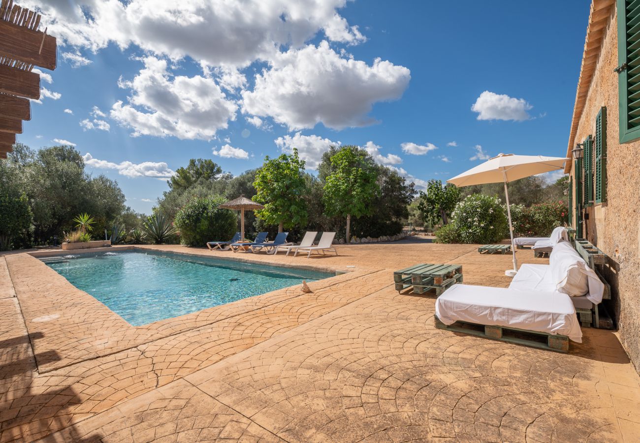 Landhaus in Manacor - Finca Cas Pastor (Cala Varques)