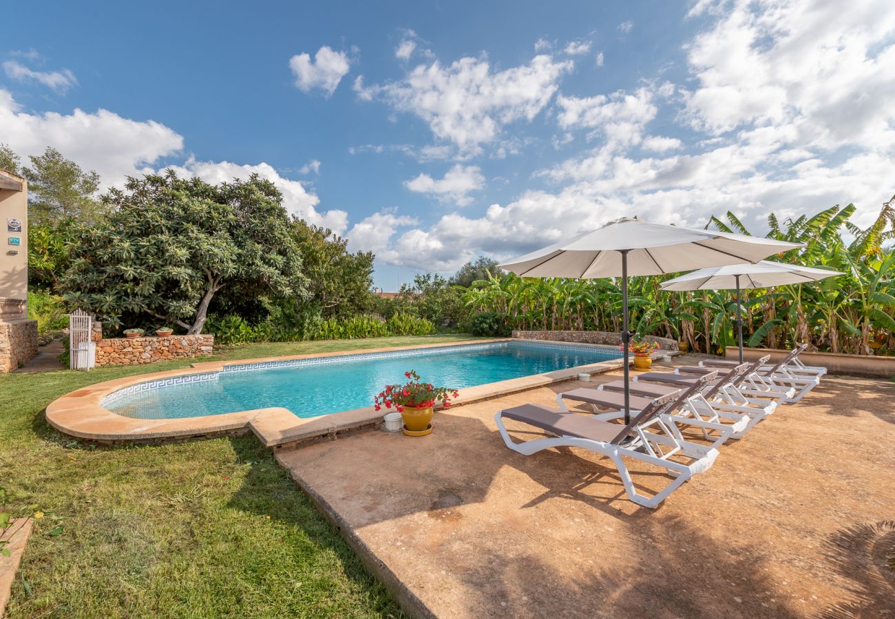 Ferienhaus in Manacor - Finca Sa Bassa Seca