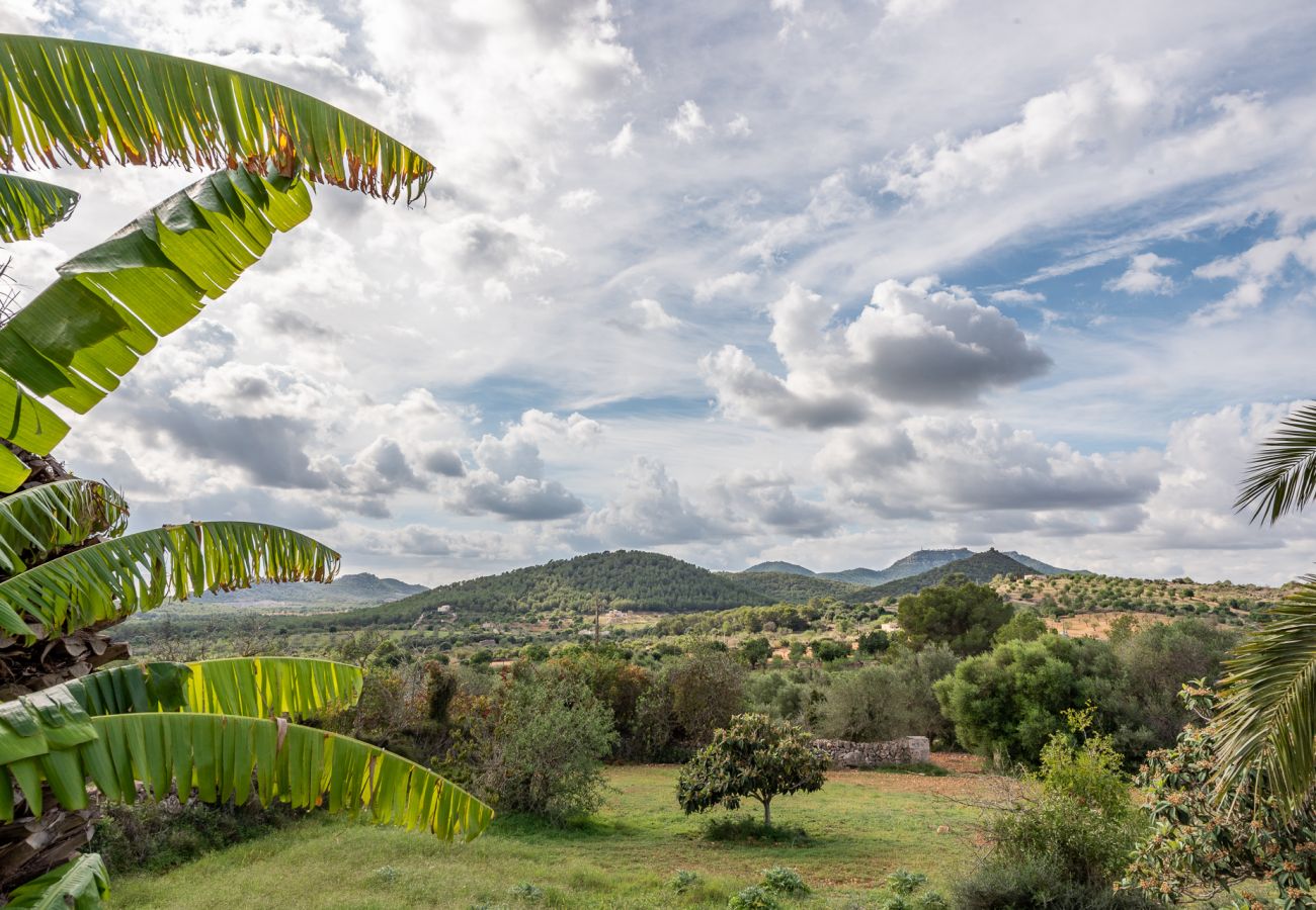 Ferienhaus in Manacor - Finca Sa Bassa Seca