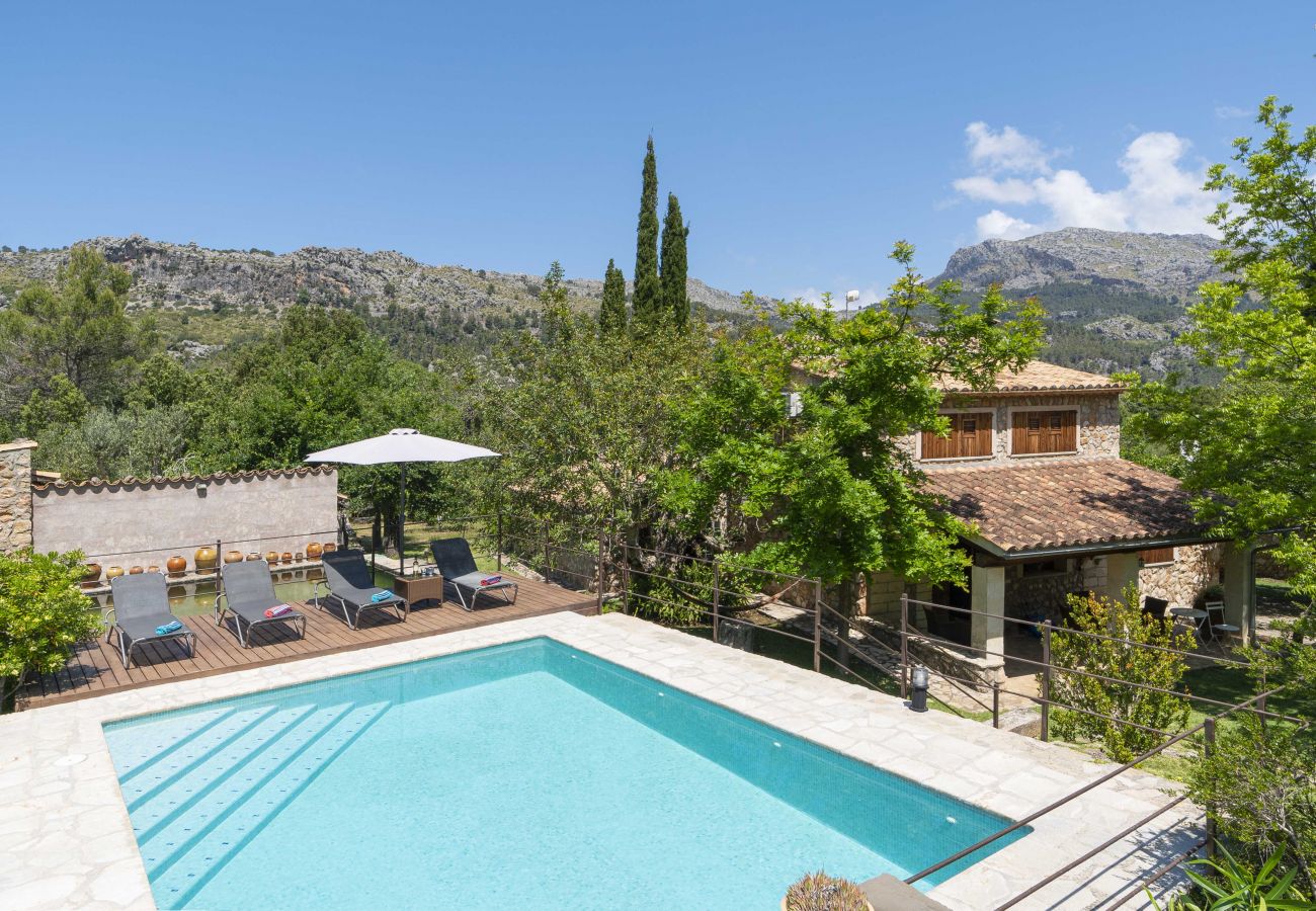 Villa in Pollensa - Villa Sementer del Molinet By home villas 360