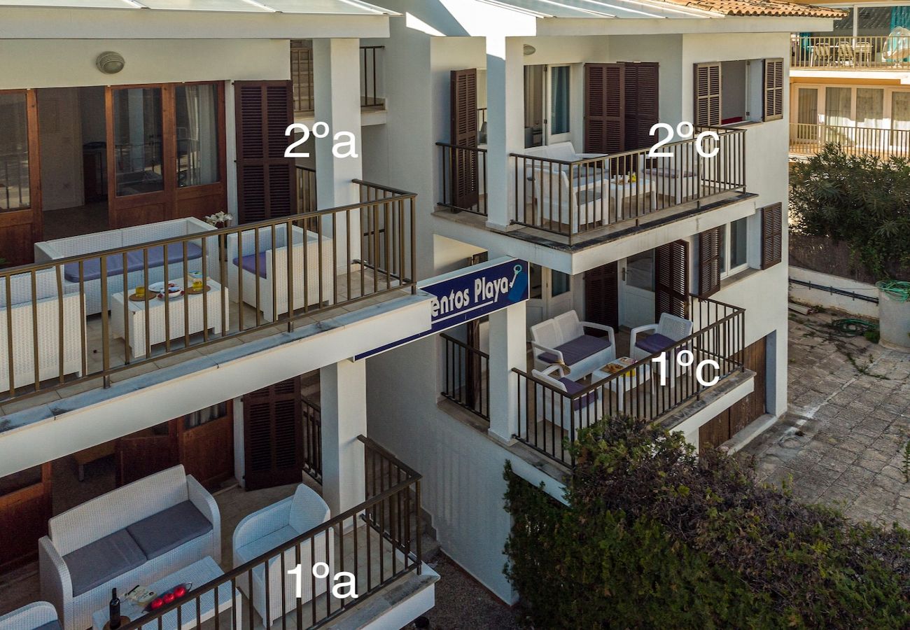 Ferienwohnung in Alcudia - Apartment Playa 2C in Puerto de Alcudia