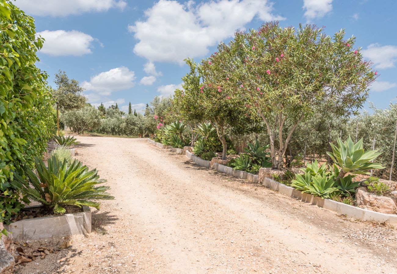 Ferienhaus in Son Carrió - Finca Ses Oliveres by Mallorca House Rent