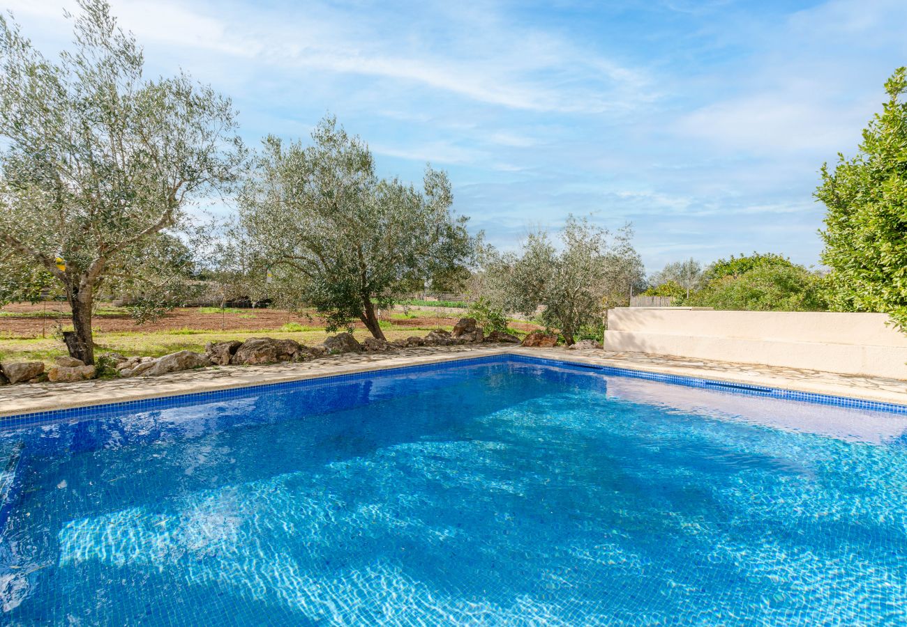 Villa in Arta - YourHouse Can Jaume