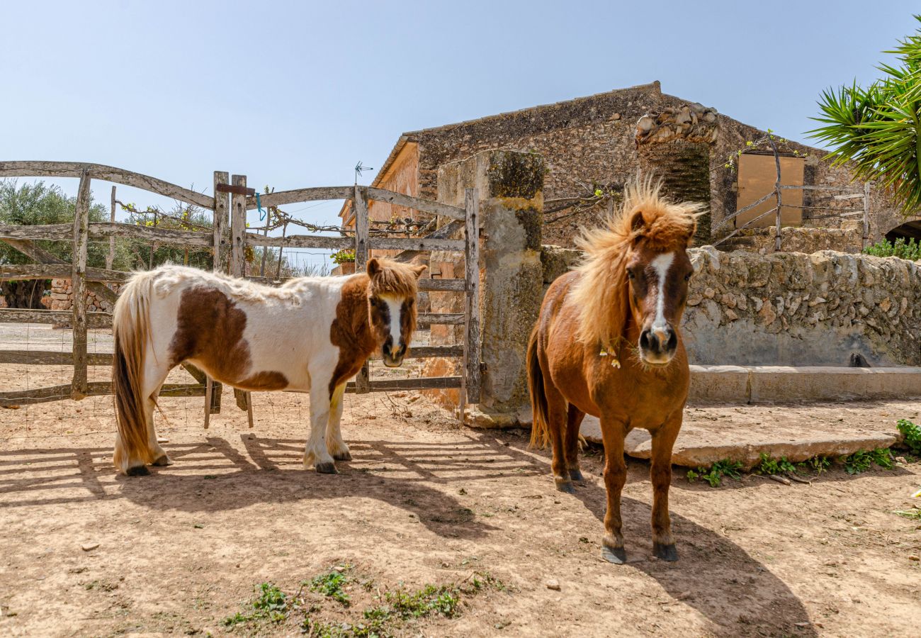 Agrotourismus in Campos - YourHouse Son Sala Agroturisme Es More - doble