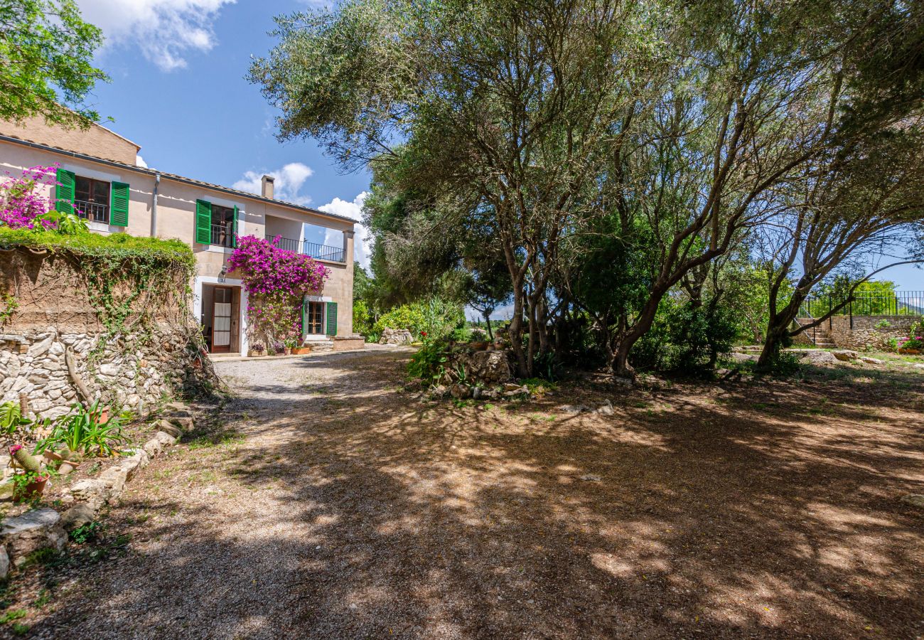 Villa in Felanitx - YourHouse Finca Es Galliner