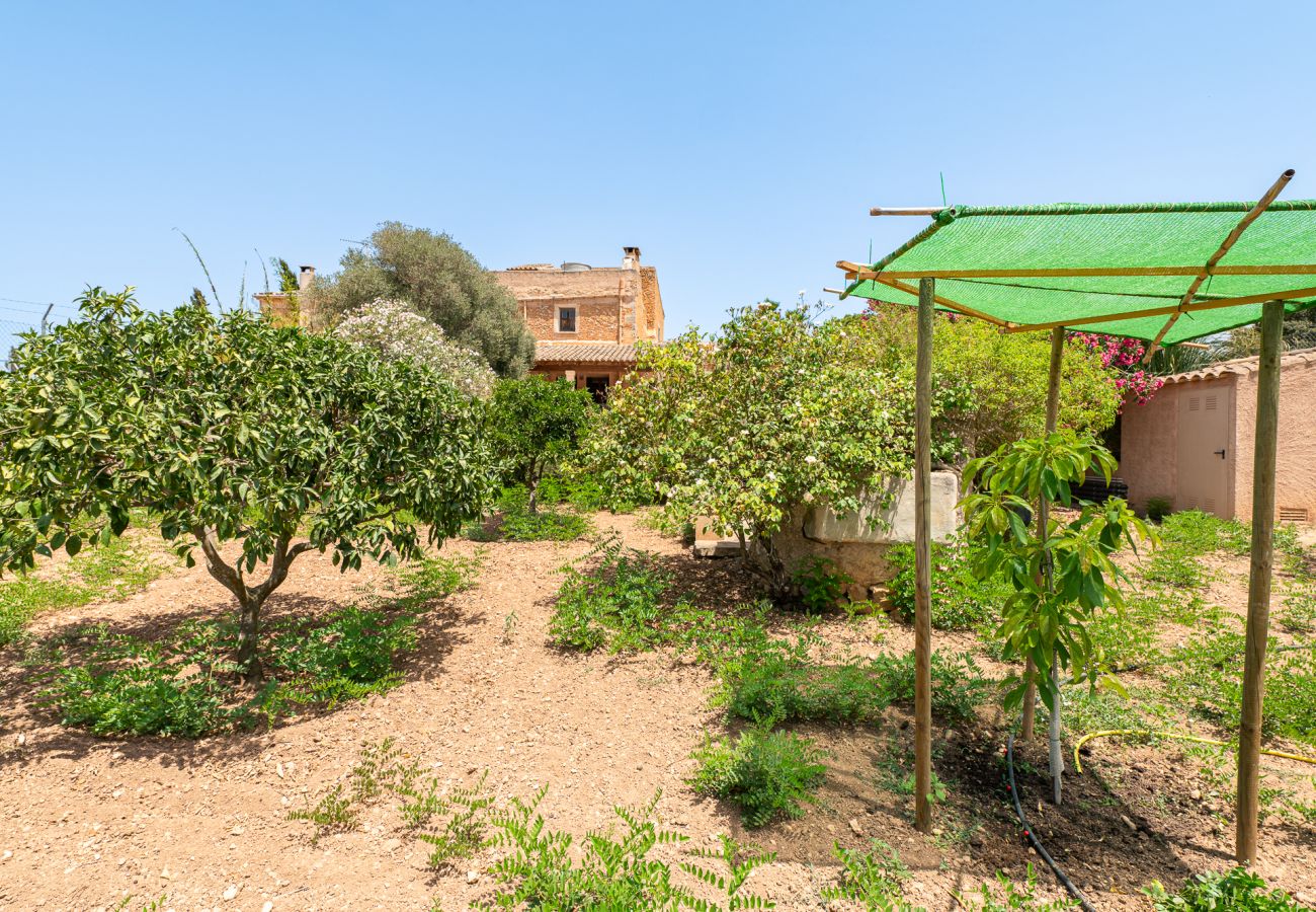 Ferienhaus in Felanitx - Son Suau Vell by Mallorca House Rent