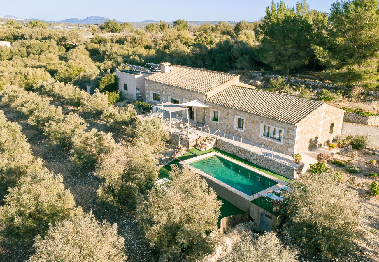 Villa auf Mallorca, Ferienvermietung, Schwimmbad, Garten, Ausblick