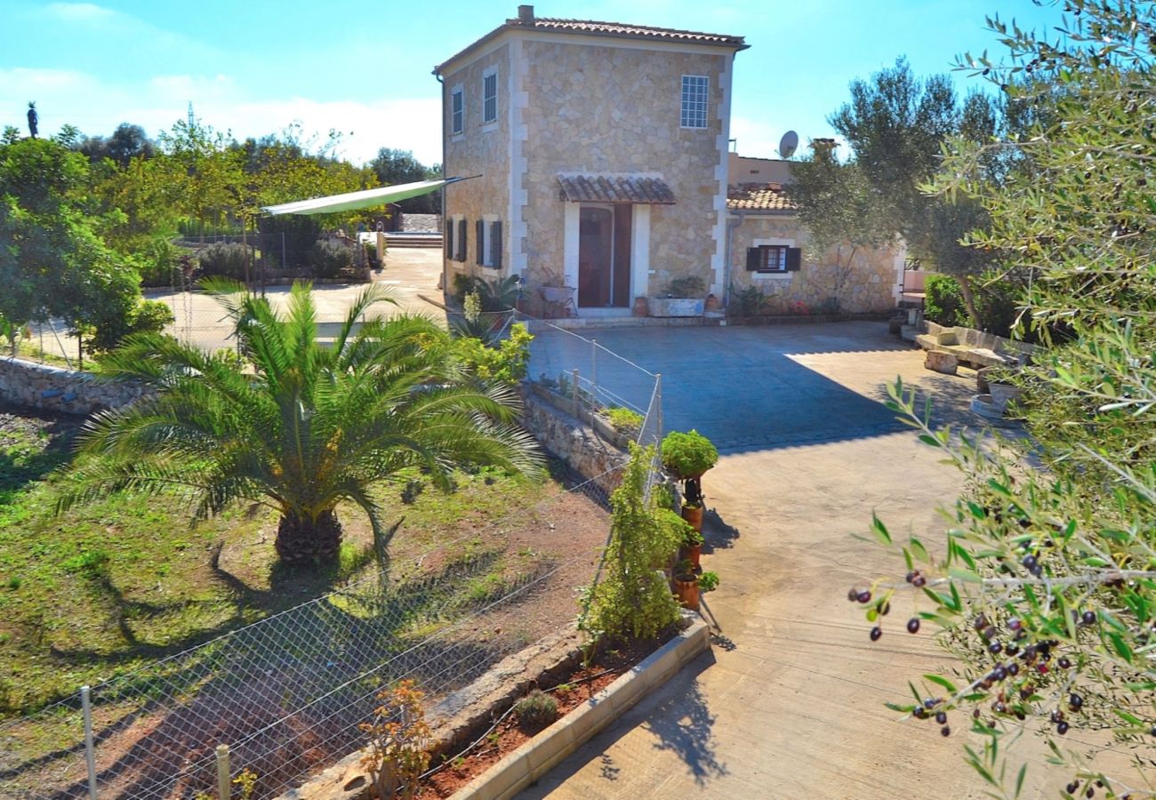 Exterior of the estate in Muro with pool