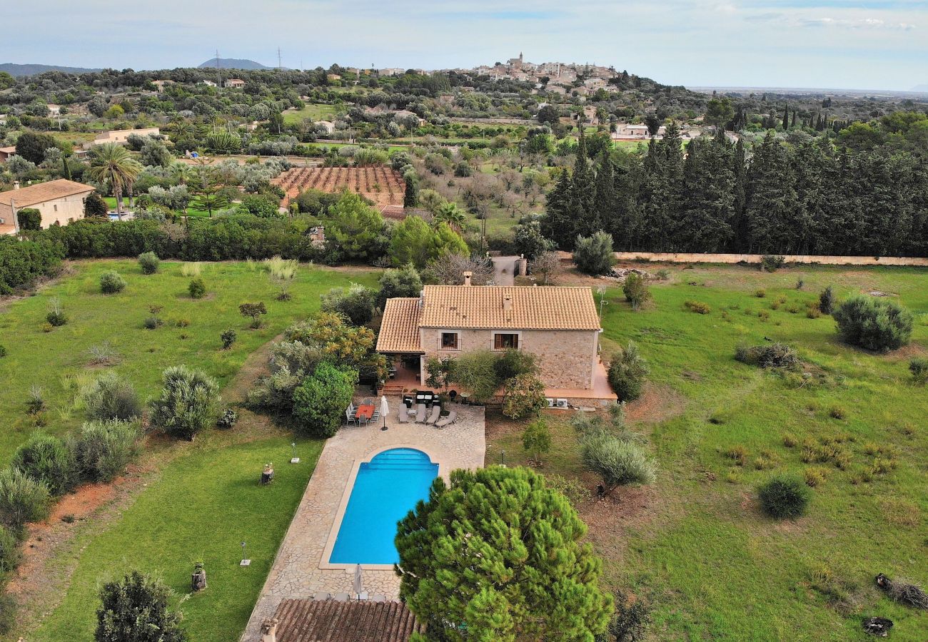 house, finca, swimming pool, garden, green, blue, barbecue 