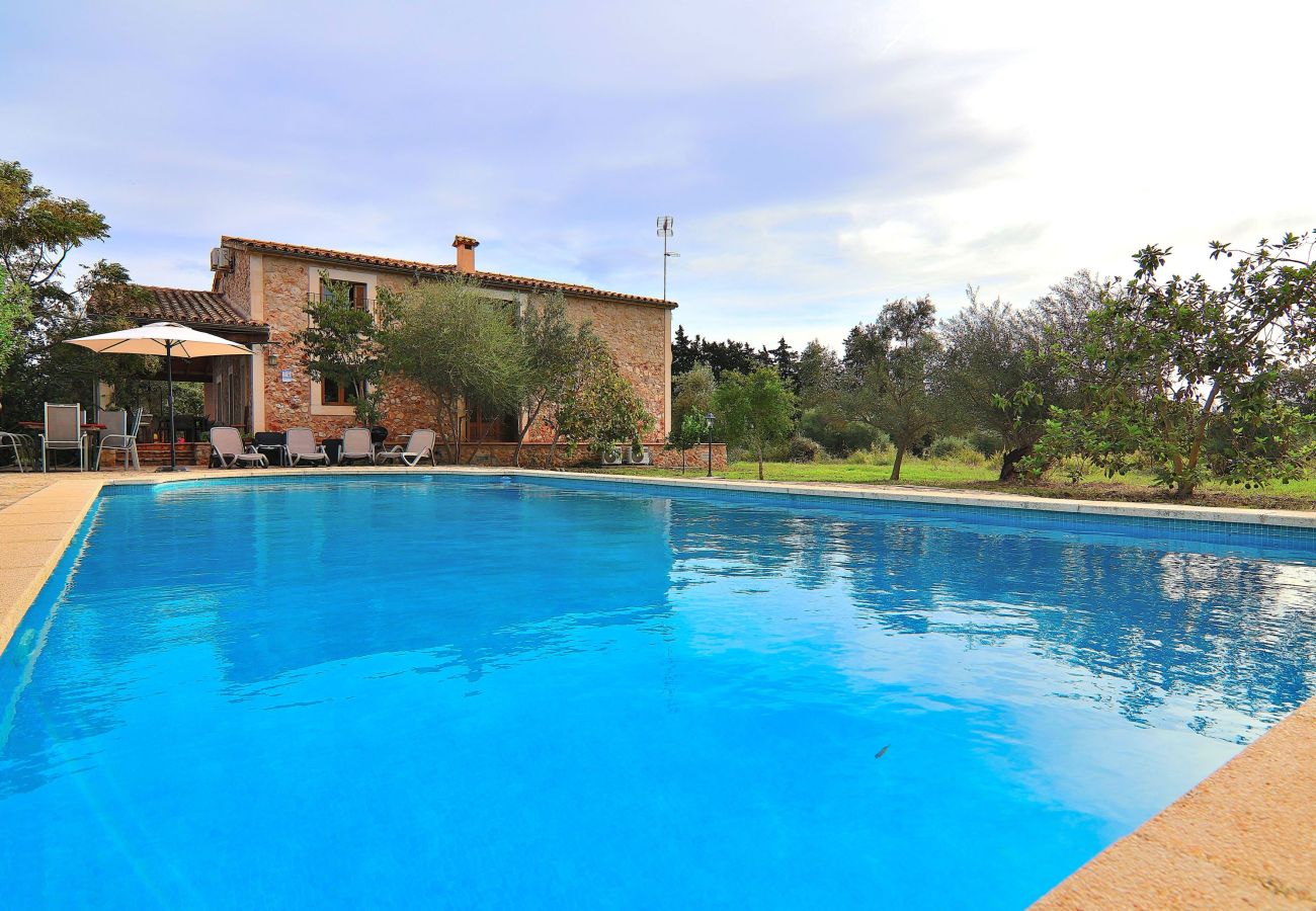 house, finca, swimming pool, garden, green, blue, barbecue 