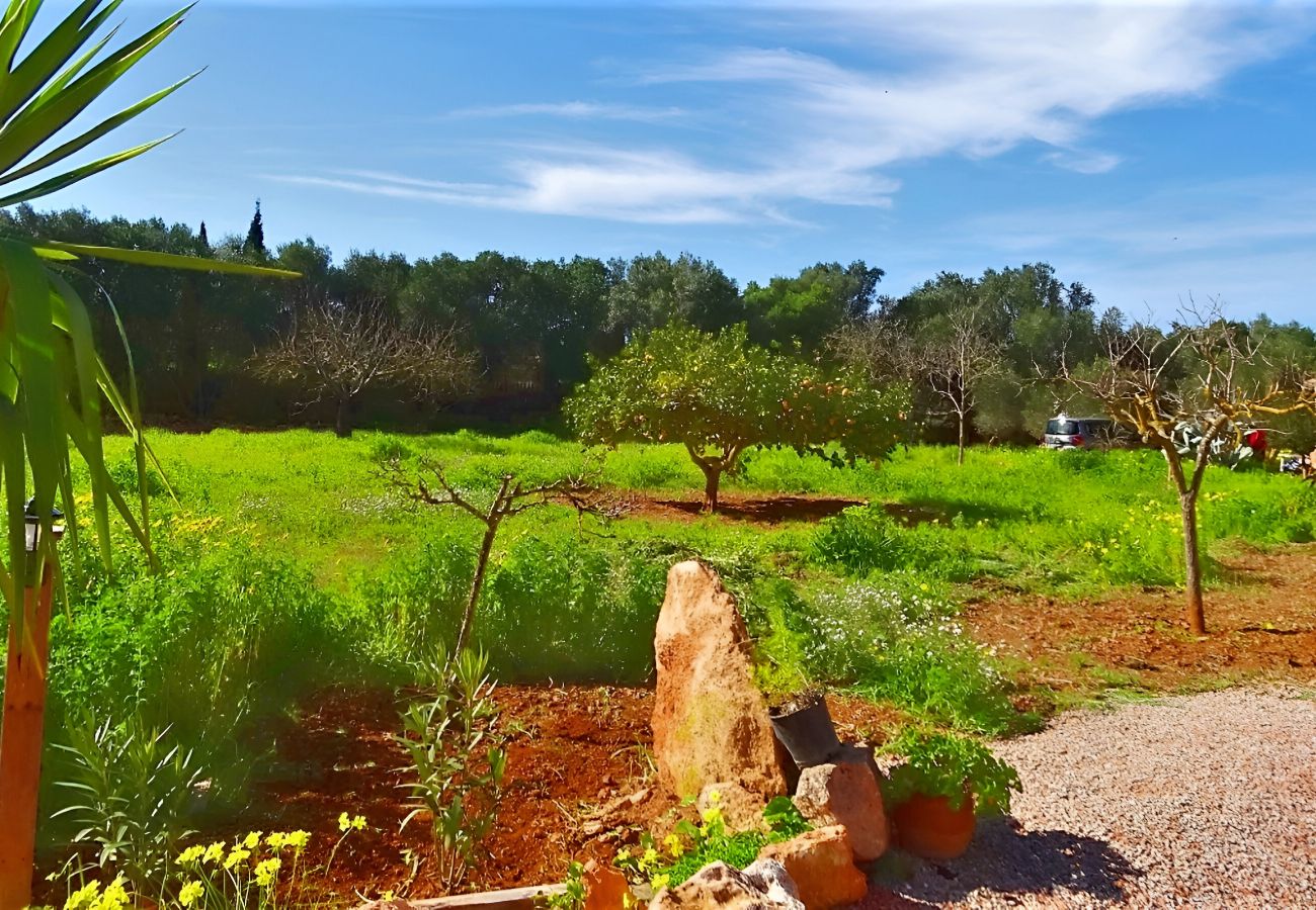 Country house in Llucmajor - Finca Son Antem, ETV6717, 420 by Mallorca Charme