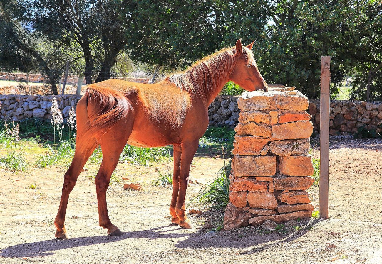 Country house in Son Serra de Marina - 235 Sa Cabaneta. S'original ETV/9570 by Mallorca