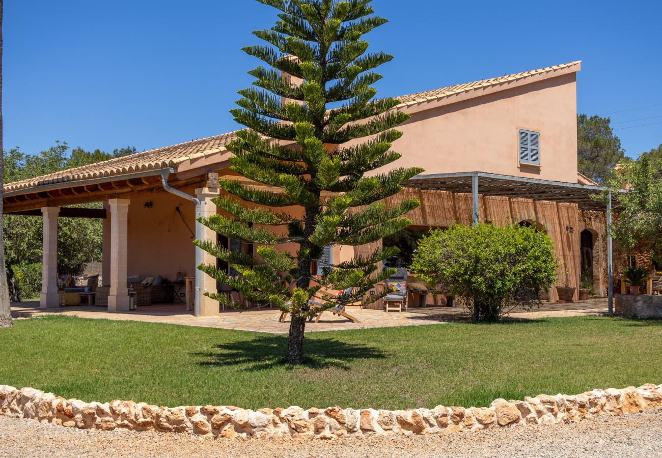 Villa in Muro - Villa Nuria 019 by Mallorca Charme