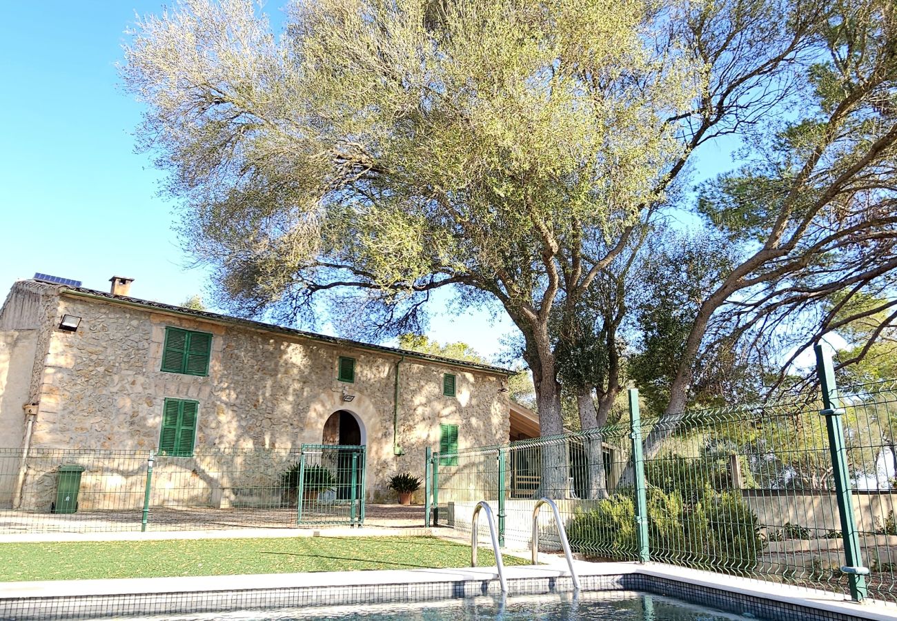 Villa in Maria de la salut - YourHouse Llampi Nou