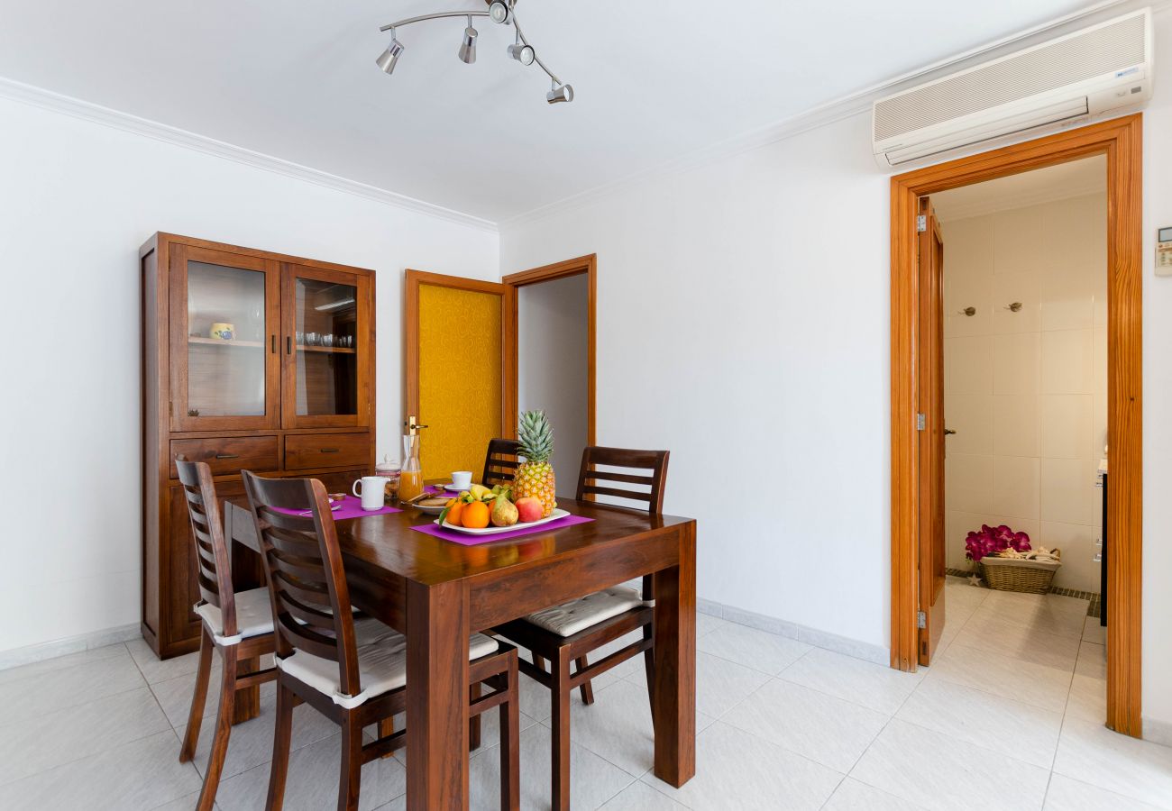 Apartment in Alcudia - YourHouse Cimbell 3