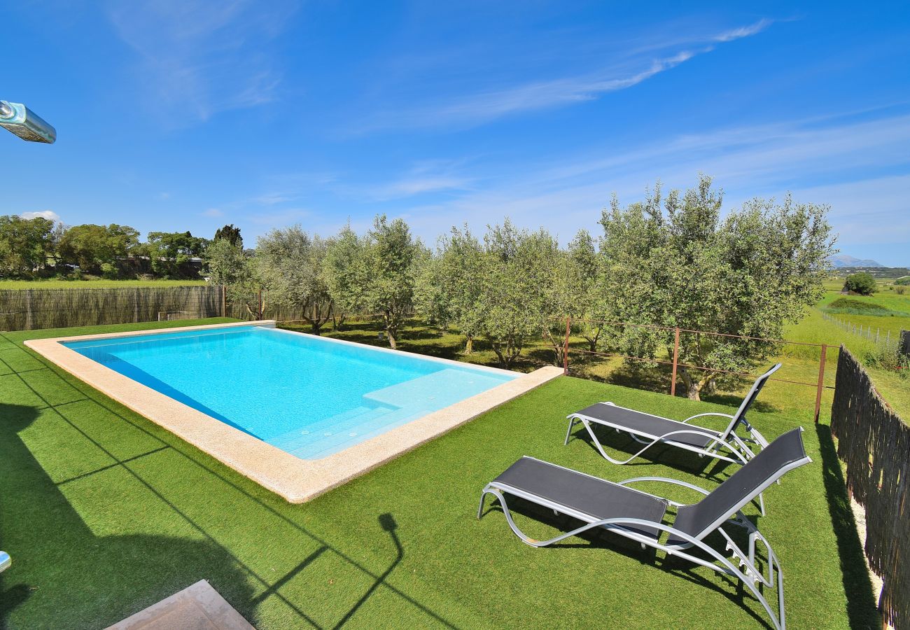 views, swimming pool, nature, holidays, rental 