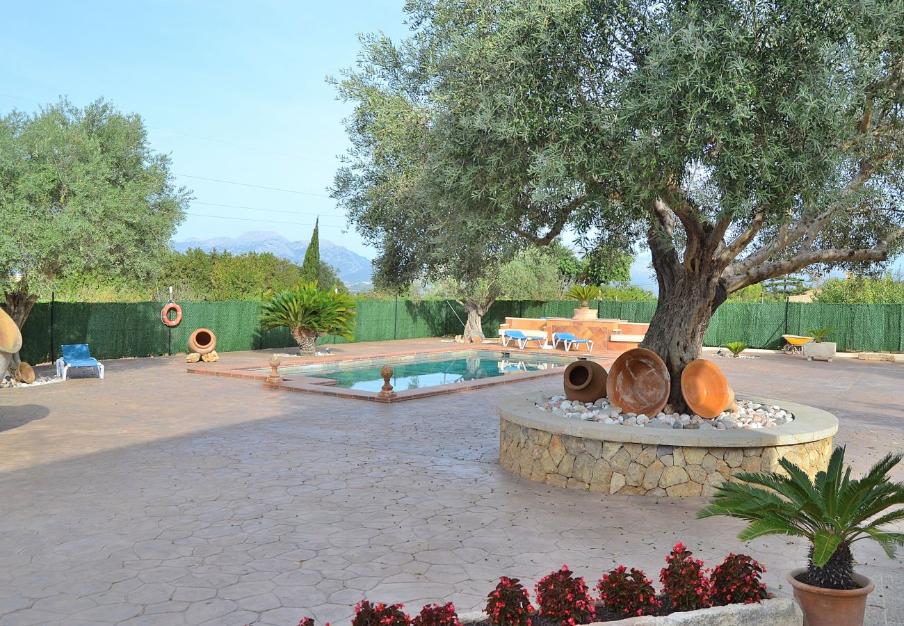 Terrace with swimming pool surrounded by nature