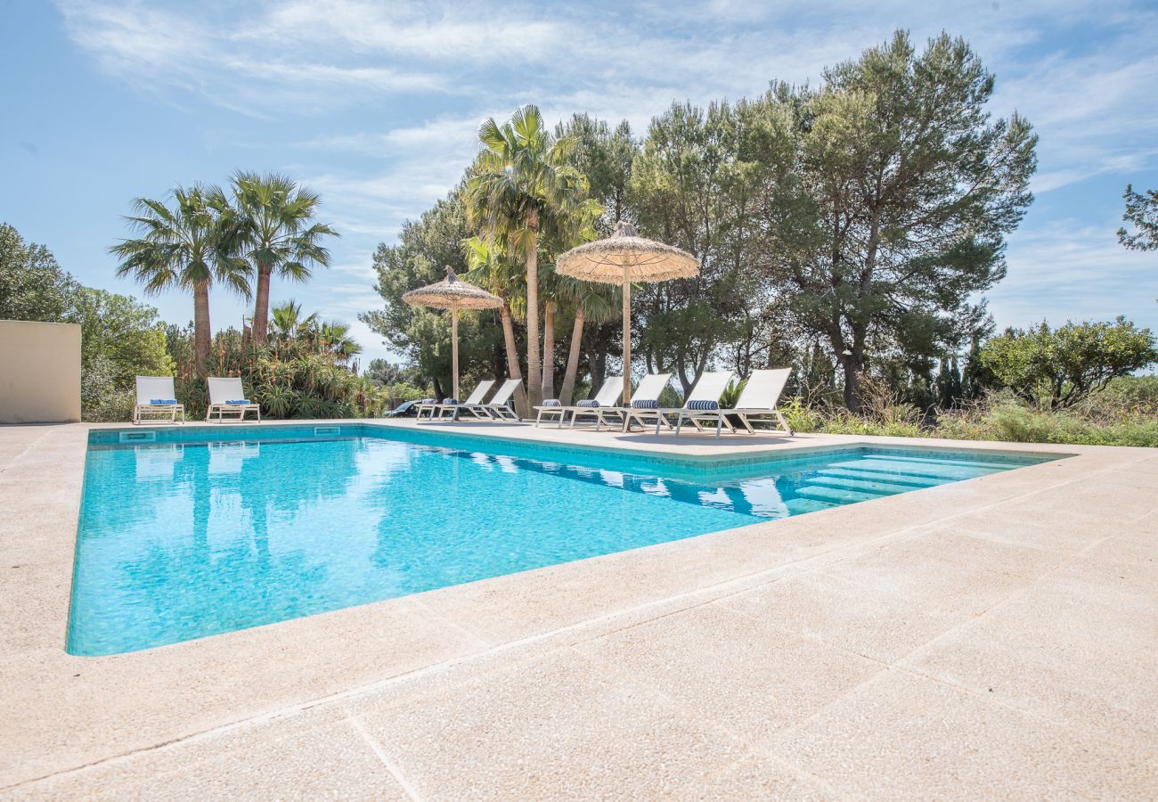 House in Sant Llorenç Des Cardassar - Finca Es Casal