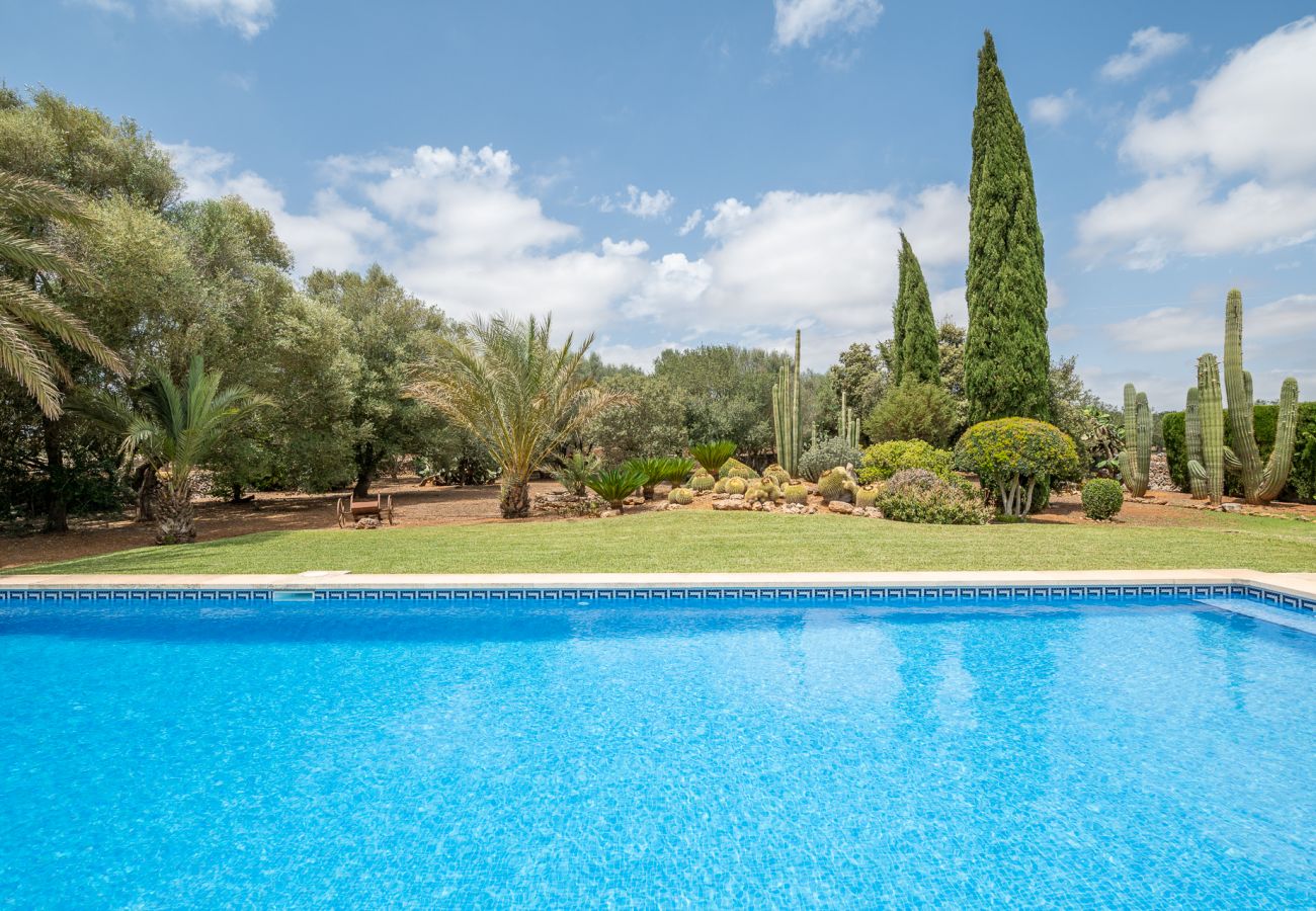 House in Campos - Finca Ses Rotes de Son Rossinyol