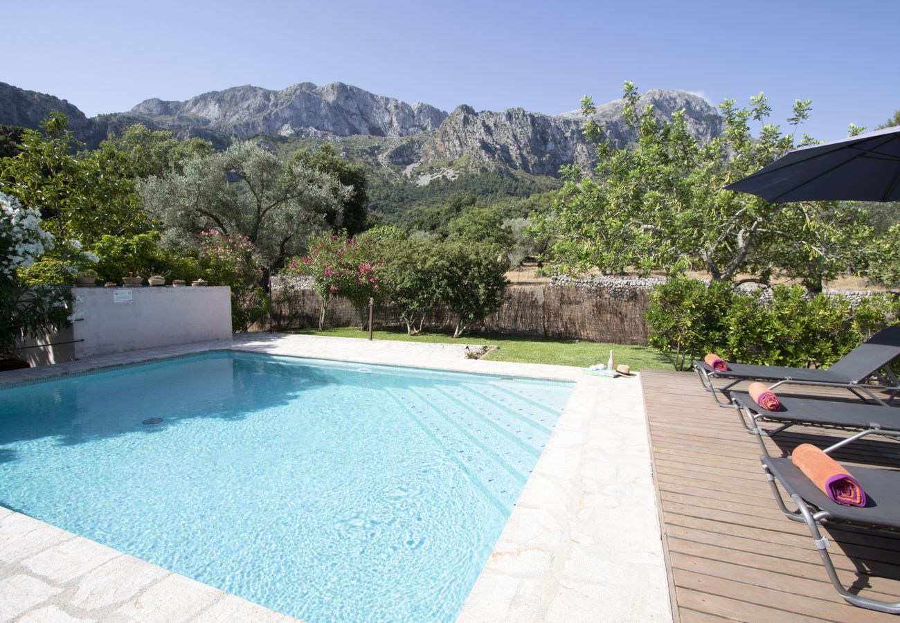 Villa in Pollensa - Villa Sementer del Molinet By home villas 360