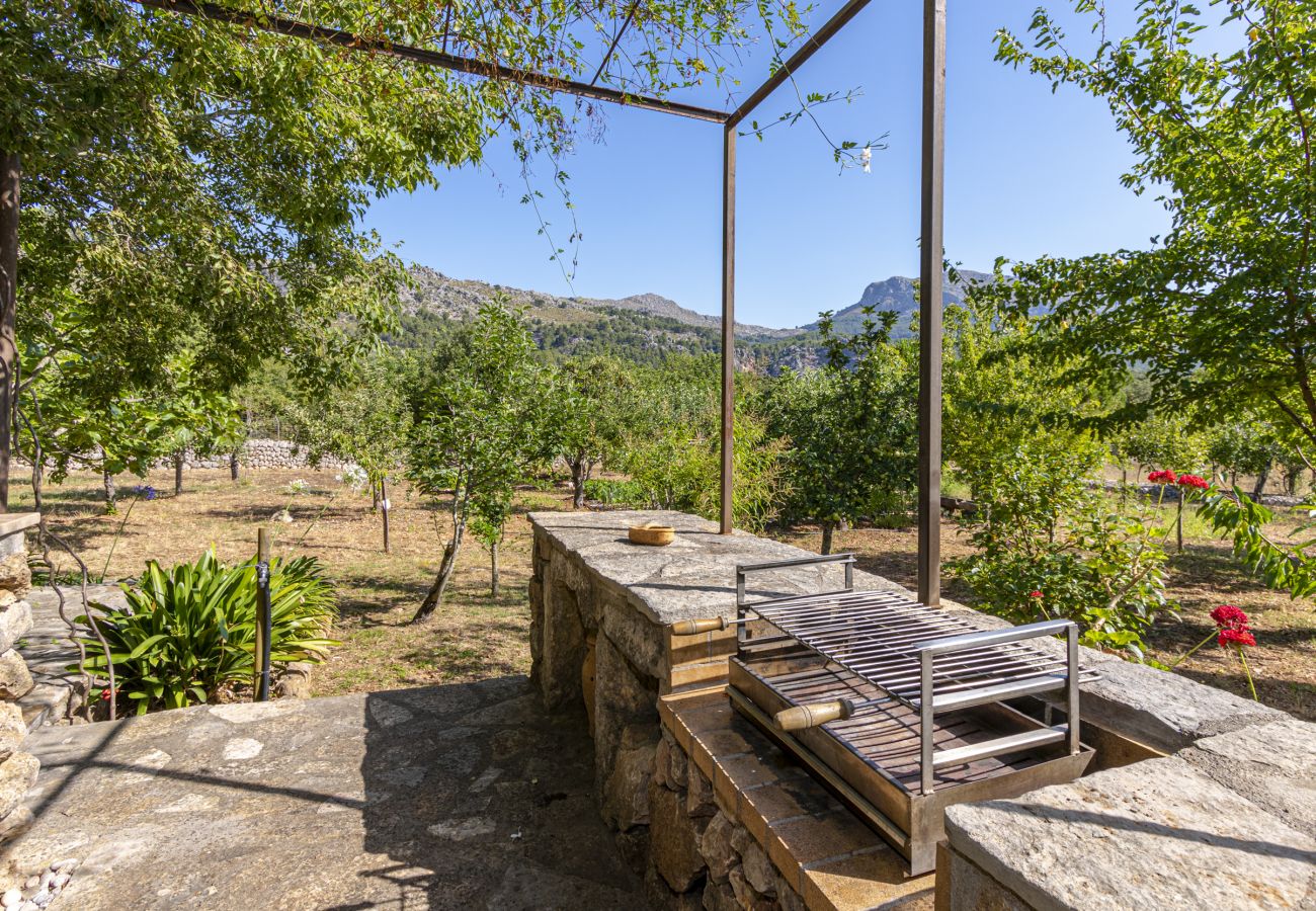 Villa in Pollensa - Villa Sementer del Molinet By home villas 360