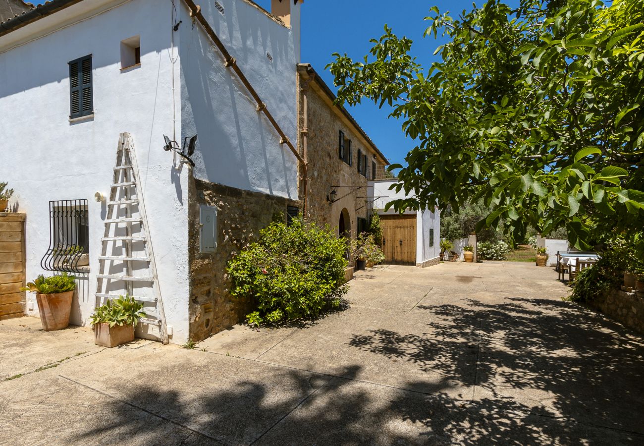 Villa in Pollensa - Villa Lloquet in Pollensa By home villas 360