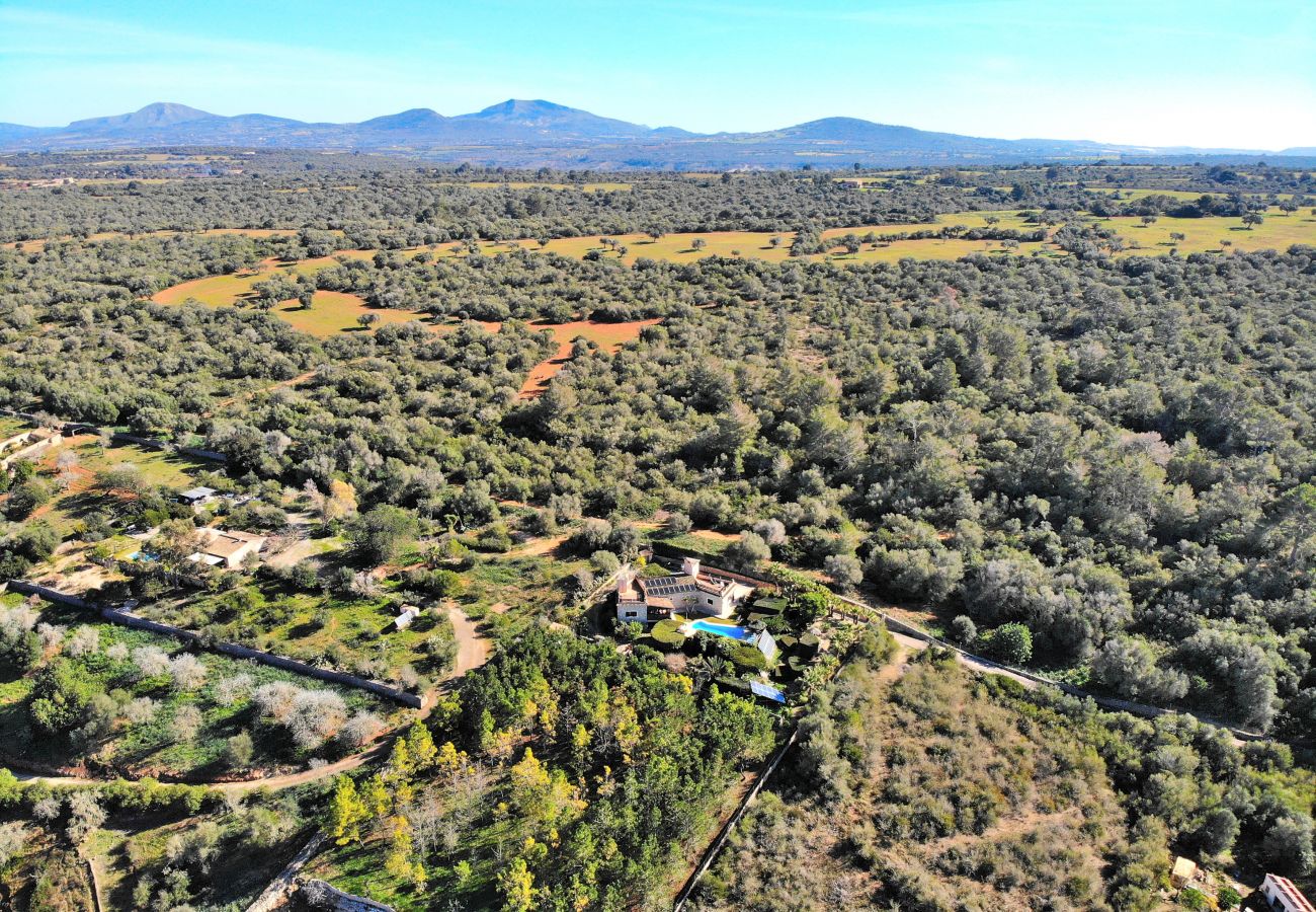 Country house in Ariany - 250 Finca Can Xisco Domatiga ETV/905 by Mallorca C