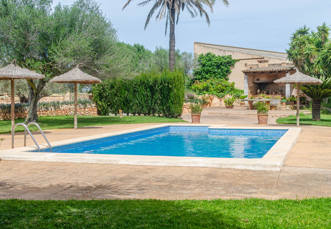 Farm stay in Campos - YourHouse Son Sala Agroturismo Vina Vella - doble