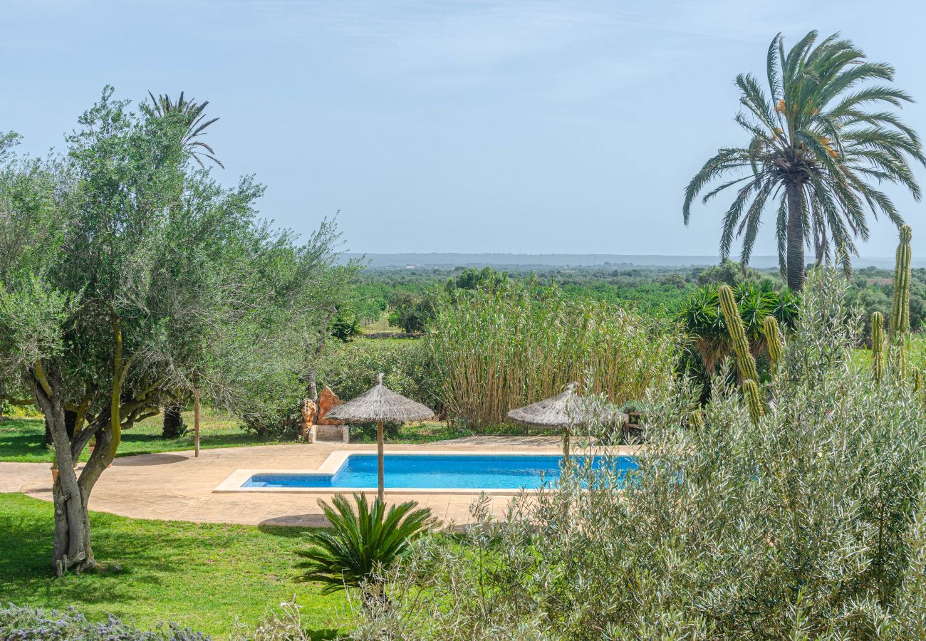 Farm stay in Campos - YourHouse Son Sala Agroturismo Vina Vella - doble